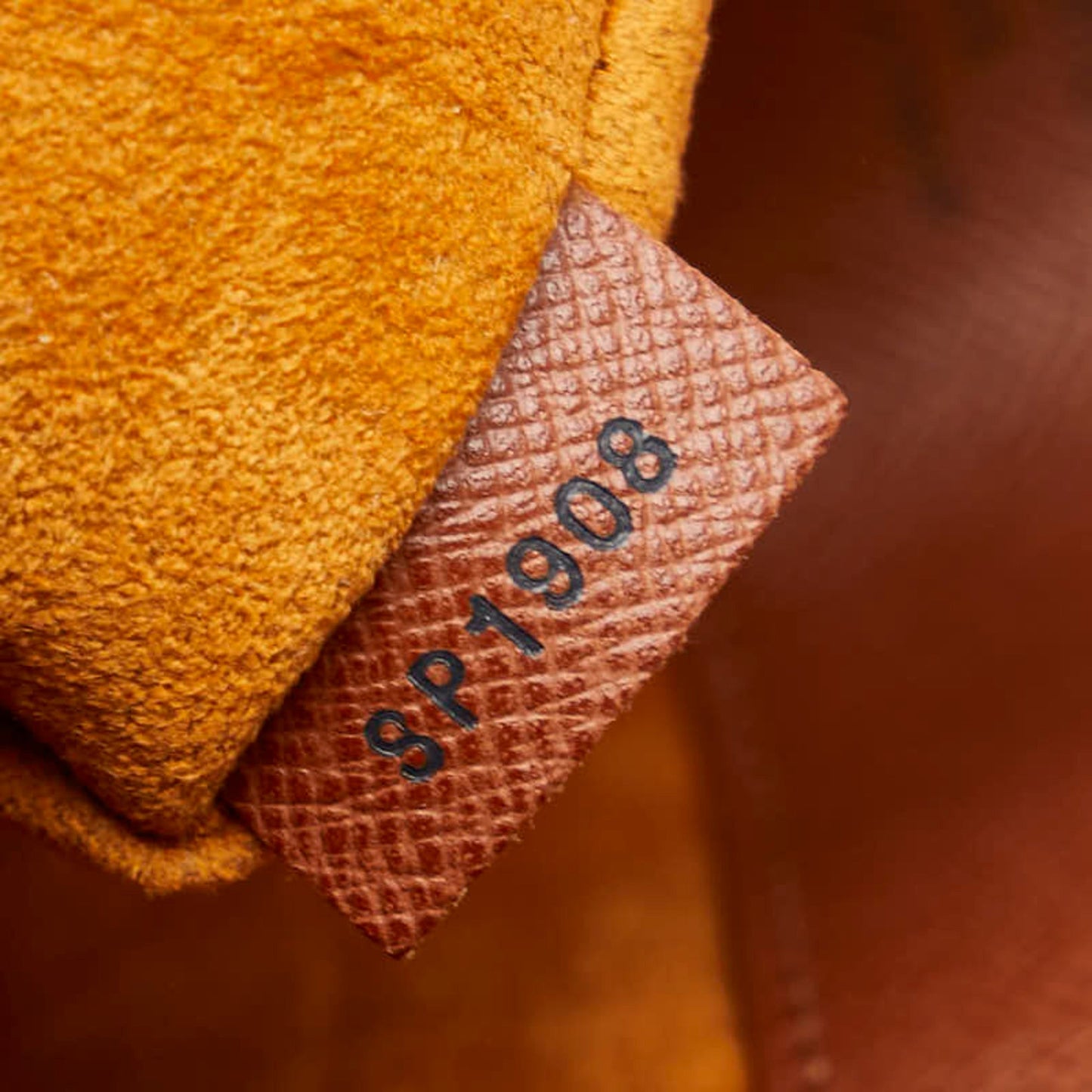 Louis Vuitton Pvc Leather Shoulder Bag
