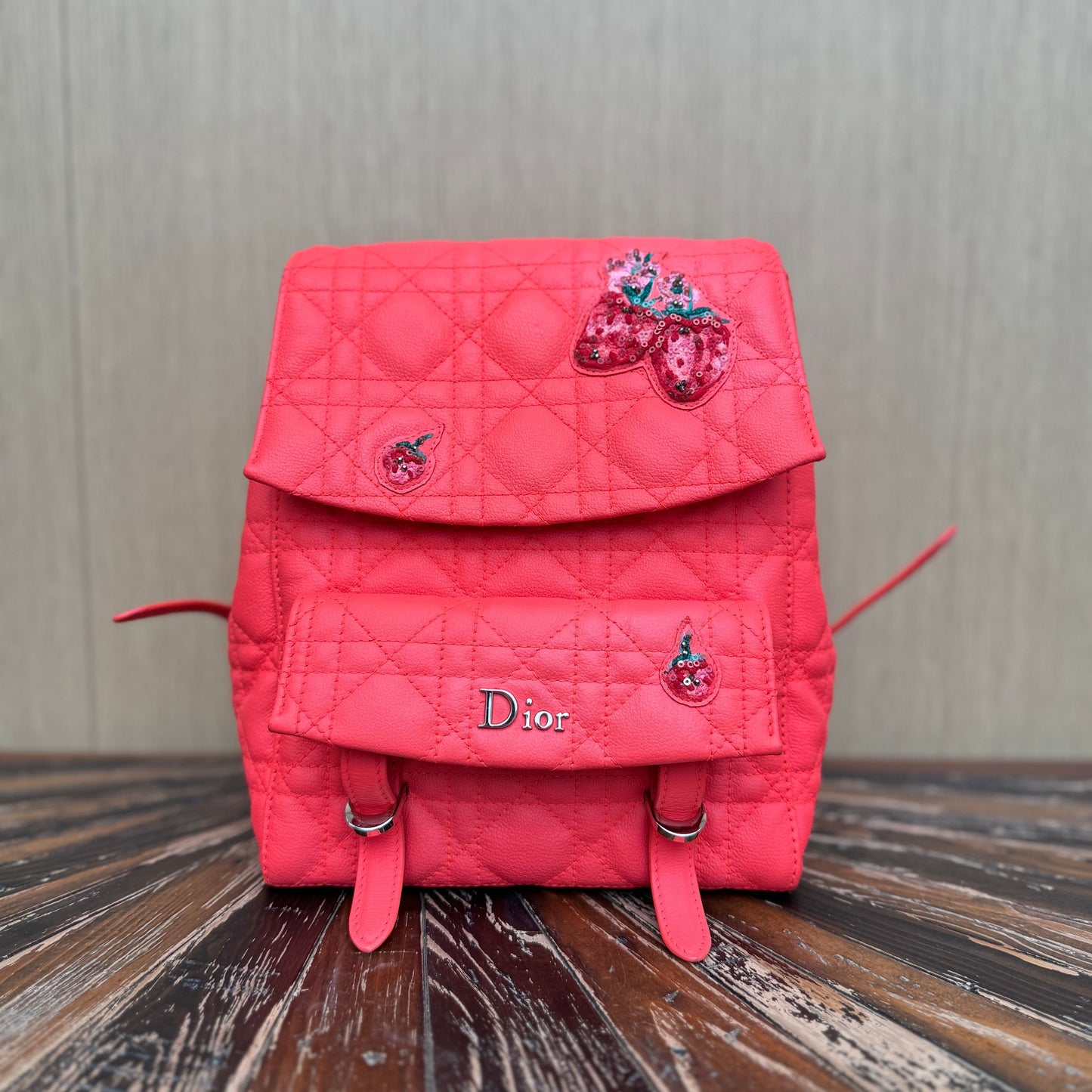 Diortravel leather backpack Dior Red in Leather 3293