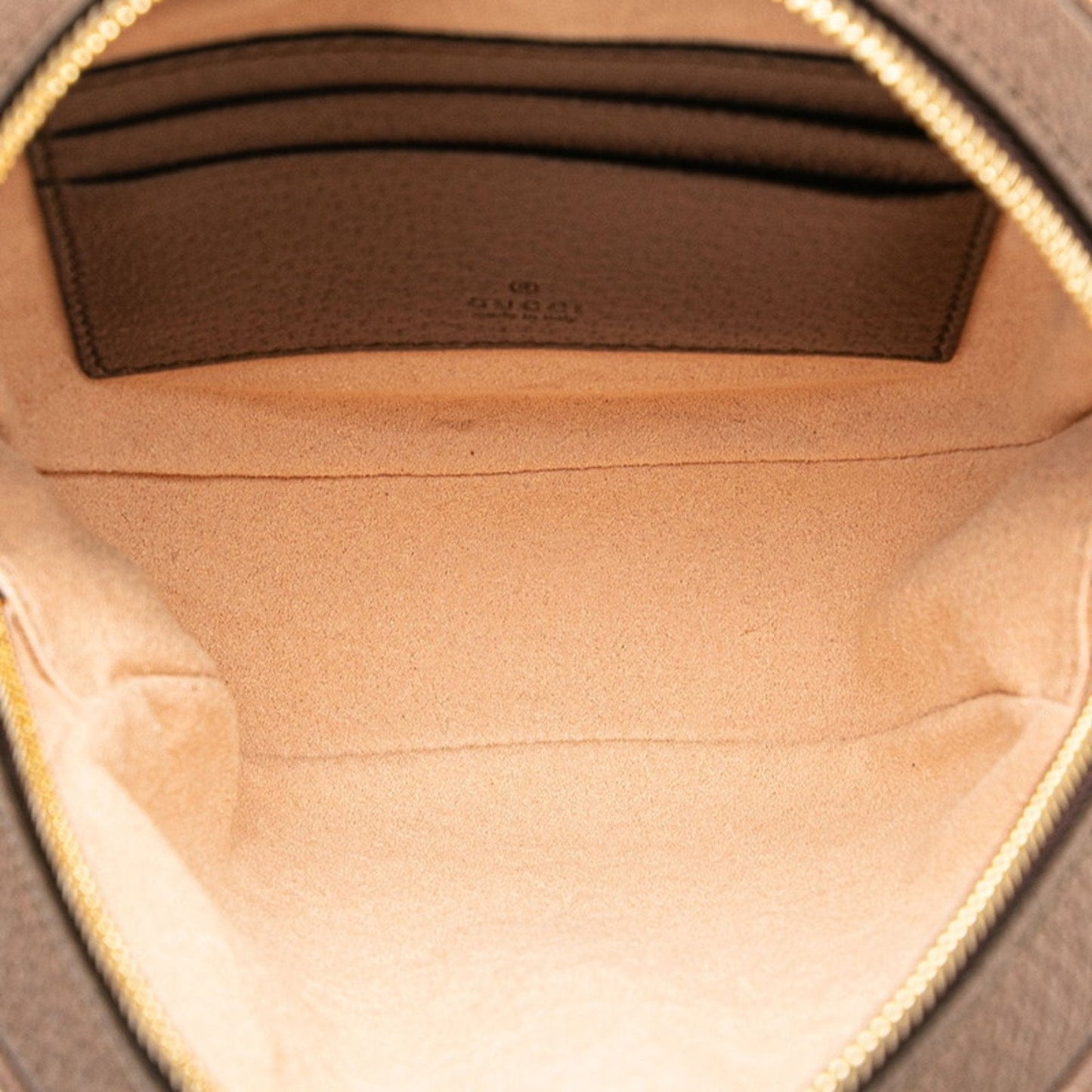 GUCCI Ophidia Backpack