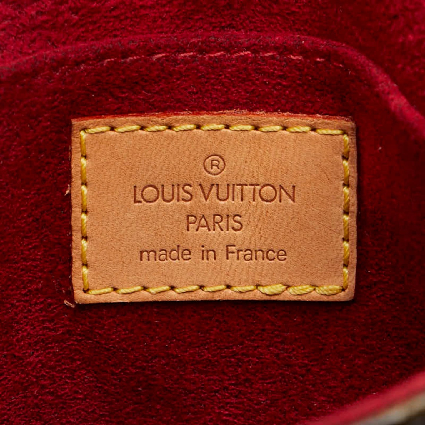 Louis Vuitton Monogram Pvc Leather Shoulder Bag
