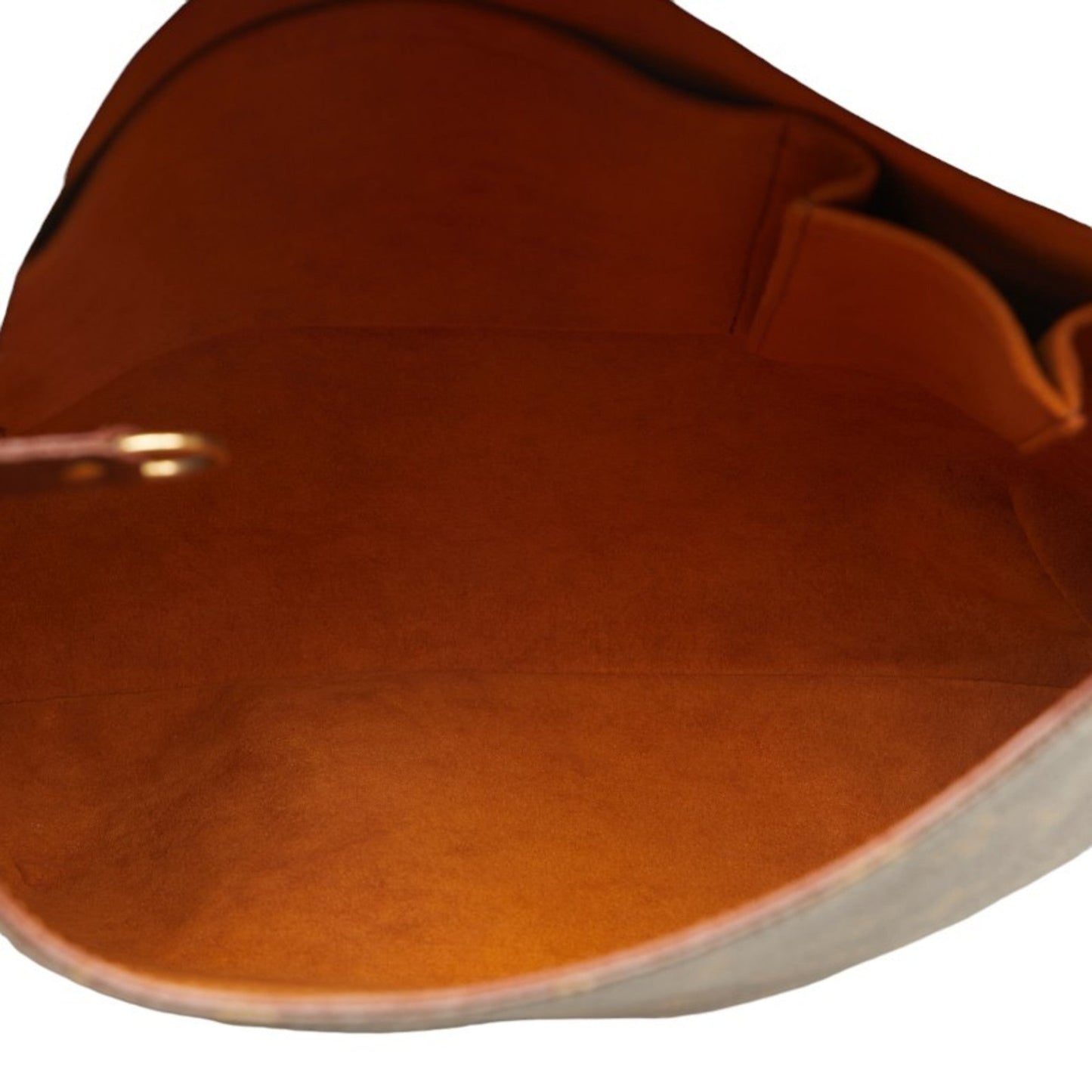 Louis Vuitton Pvc Leather Shoulder Bag