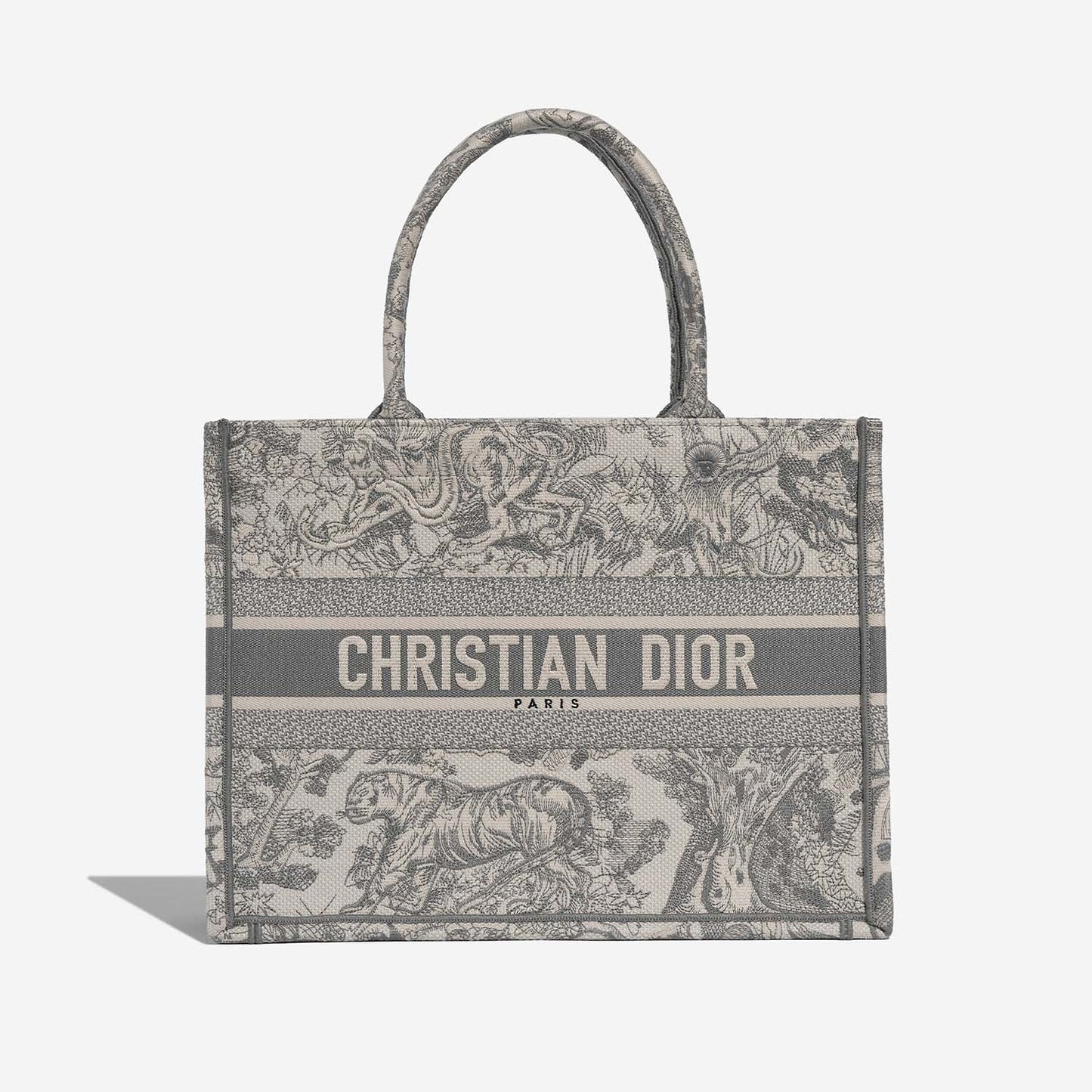 Dior Book Tote Medium Canvas Bag
