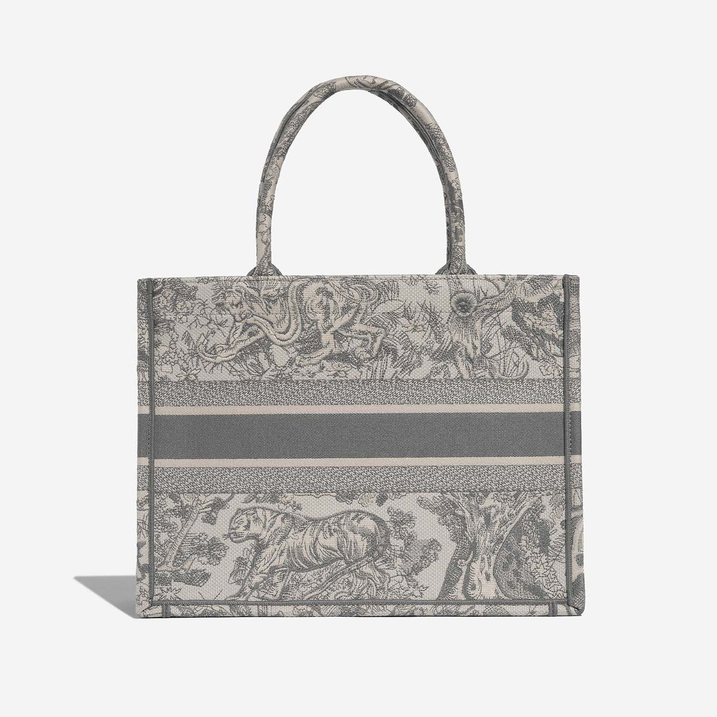 Dior Book Tote Medium Canvas Bag