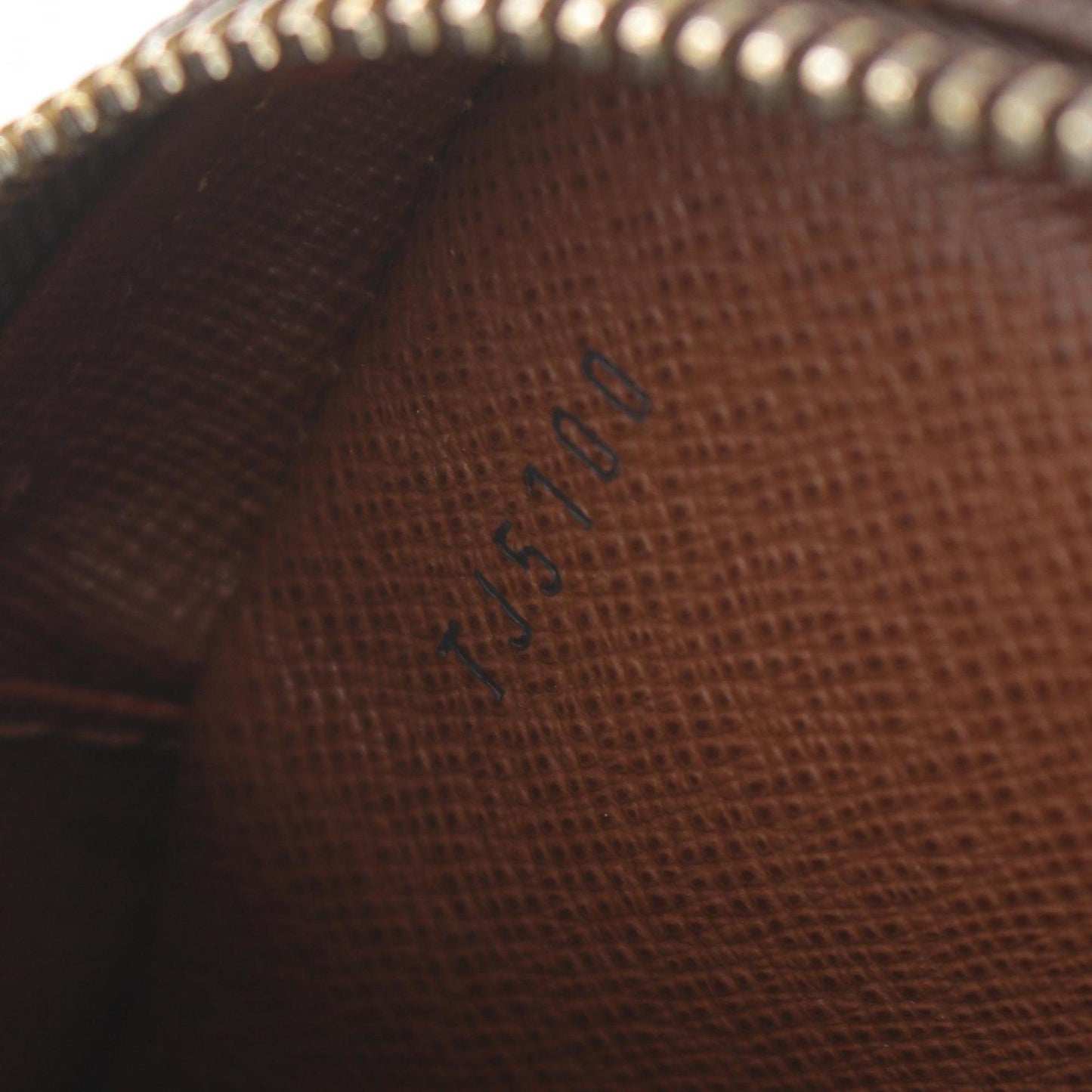 Louis Vuitton Pvc Leather Shoulder Bag