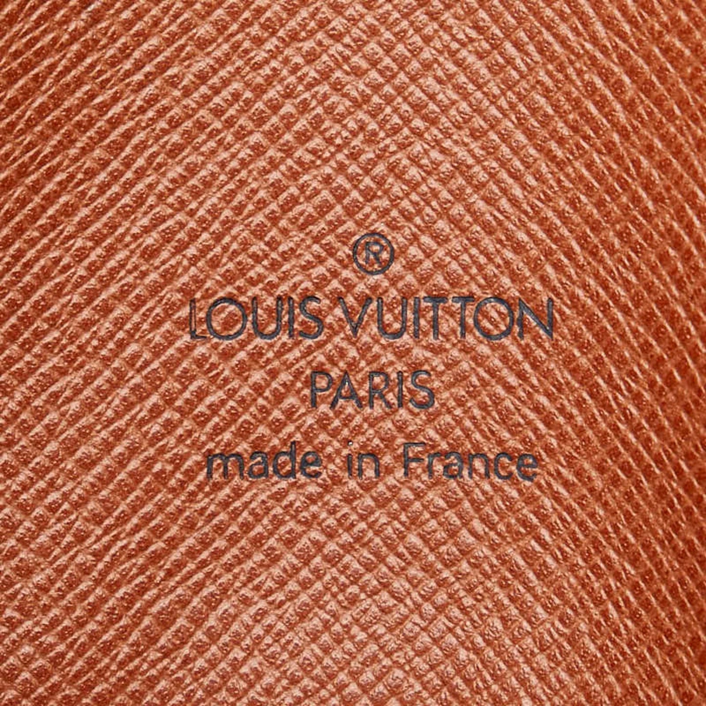 Louis Vuitton Pvc Leather Shoulder Bag
