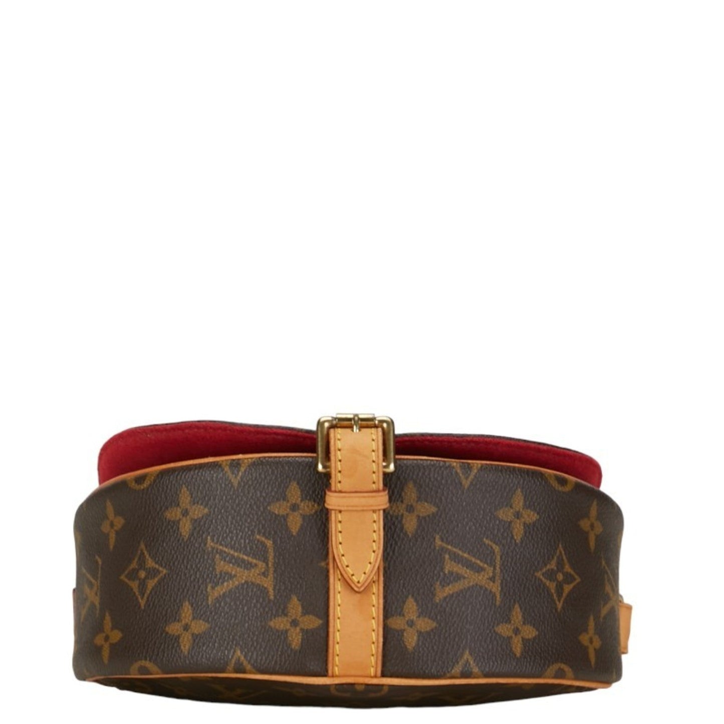 Louis Vuitton Monogram Pvc Leather Shoulder Bag