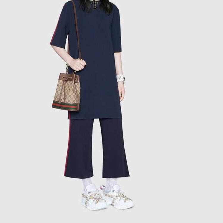 (WMNS) Gucci Ophidia Logo Stripe Webbing Canvas Drawstring handBag Small / Brown Classic 550621-96I3B-8745