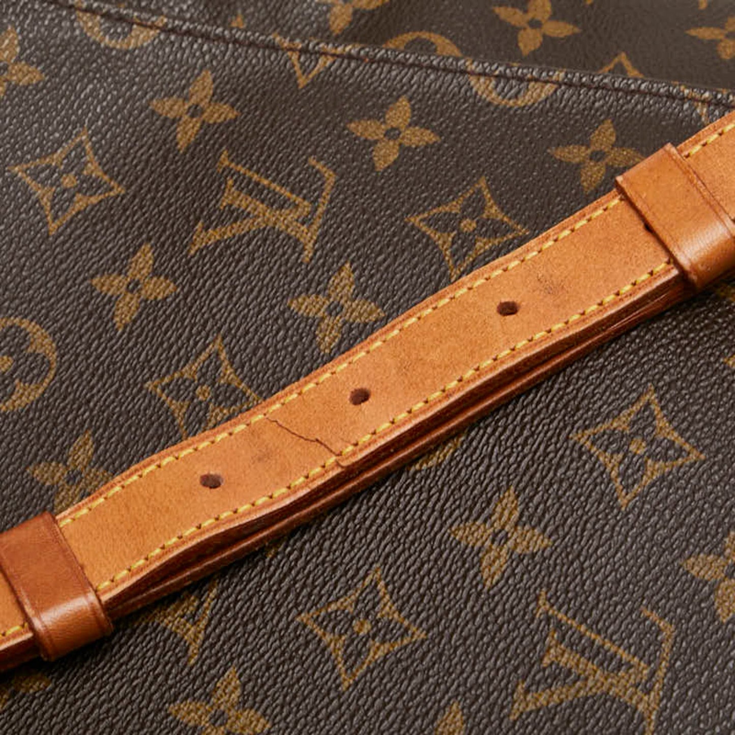 Louis Vuitton Monogram Pvc Leather Shoulder Bag