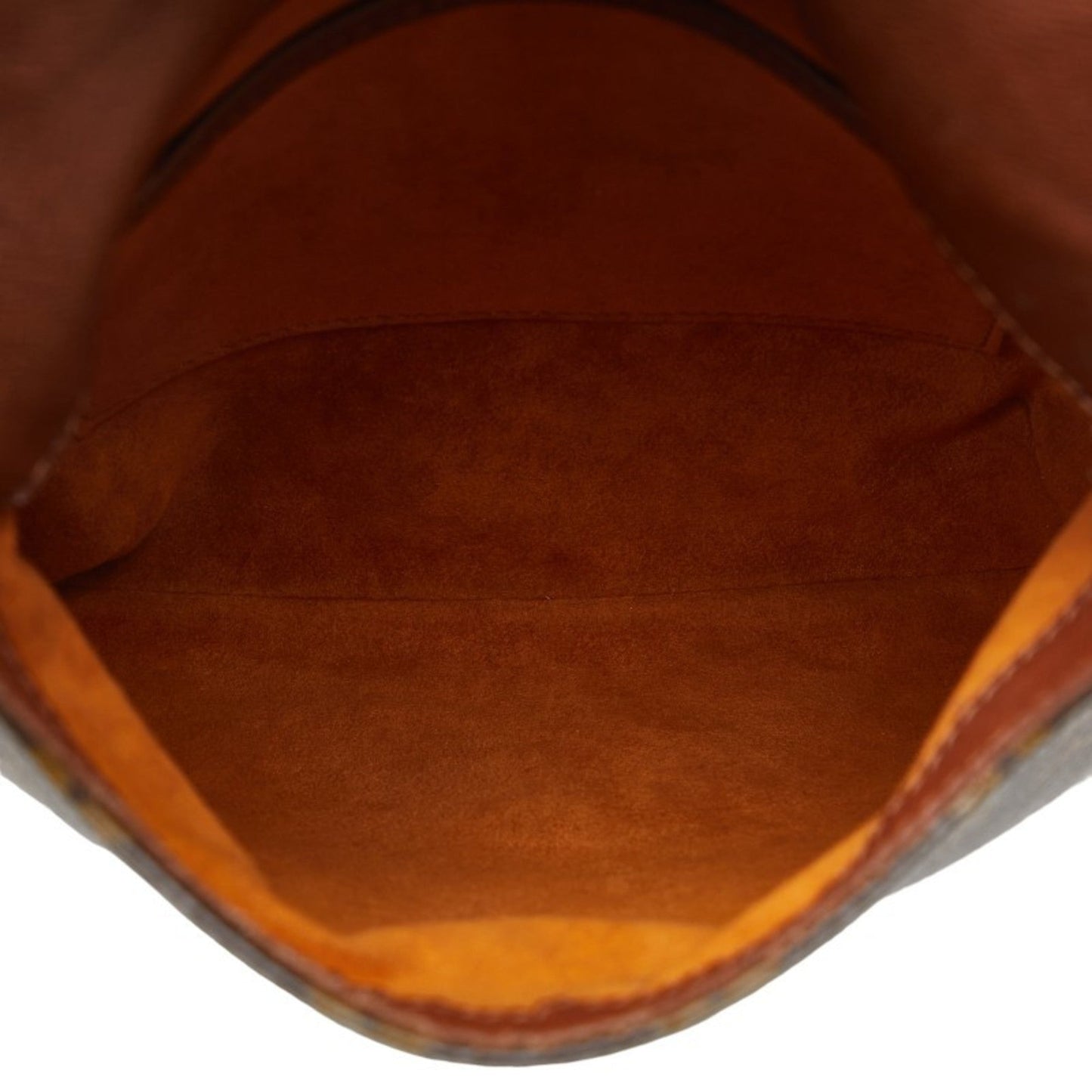 Louis Vuitton Pvc Leather Shoulder Bag