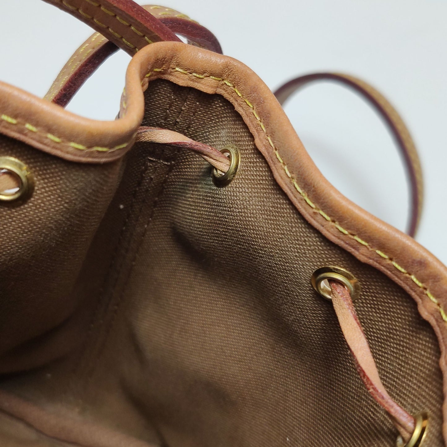 Louis Vuitton NOE Nano Monogram Drawstring Crossbody Shoulder Bag 250502781175450
