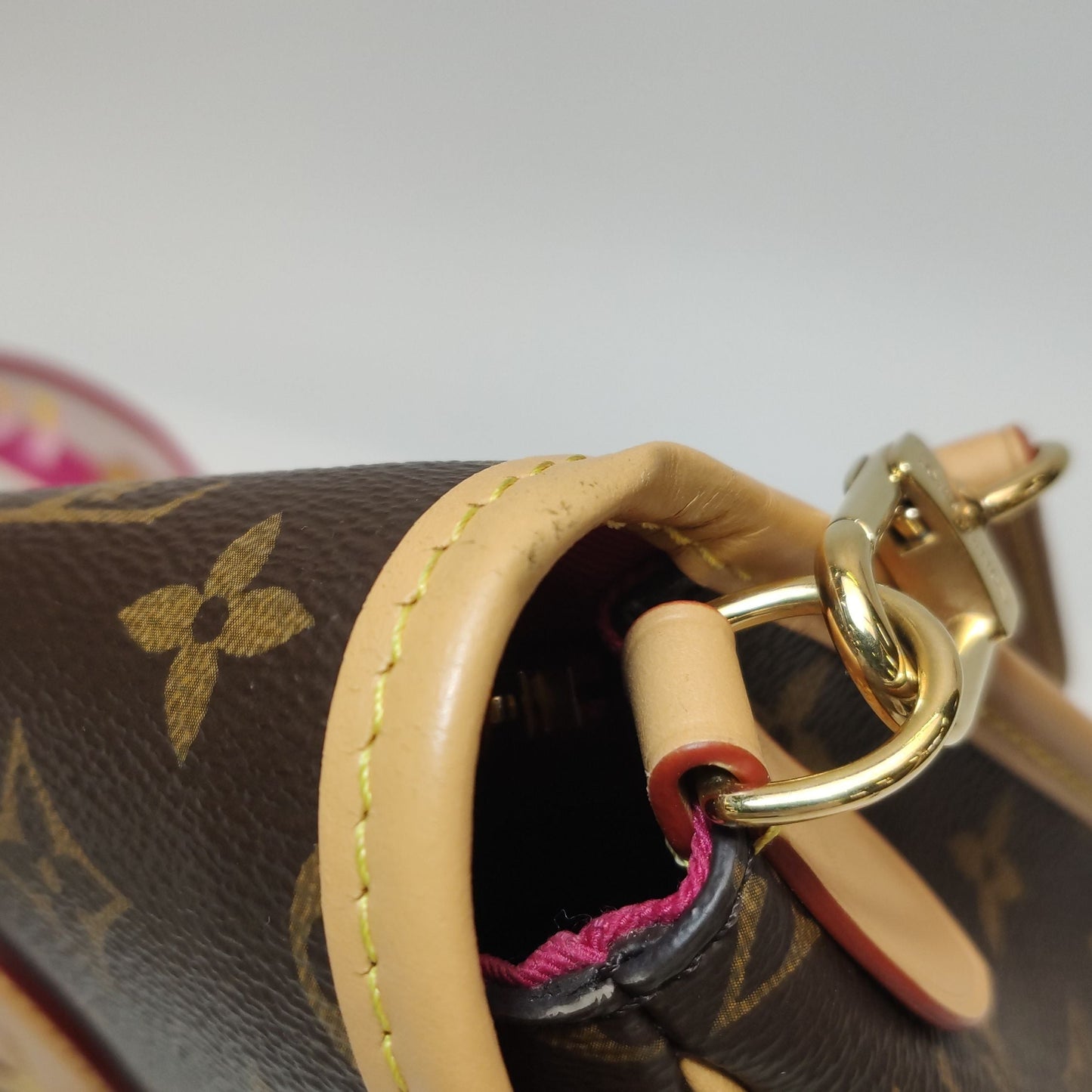 Louis Vuitton Diane Monogram Crossbody Shoulder Bag Microchip 250502781175419