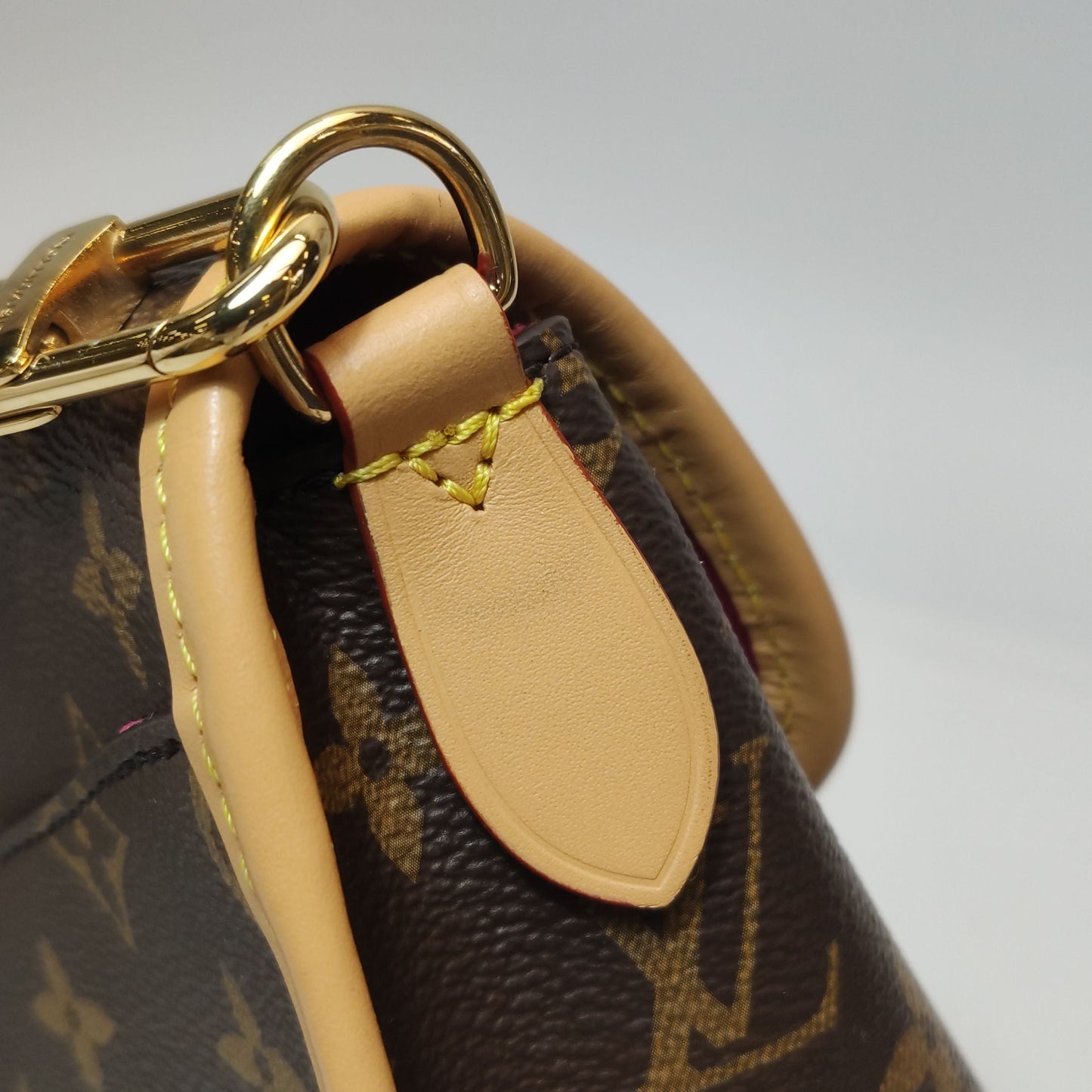 Louis Vuitton Diane Monogram Crossbody Shoulder Bag Microchip 250502781175419