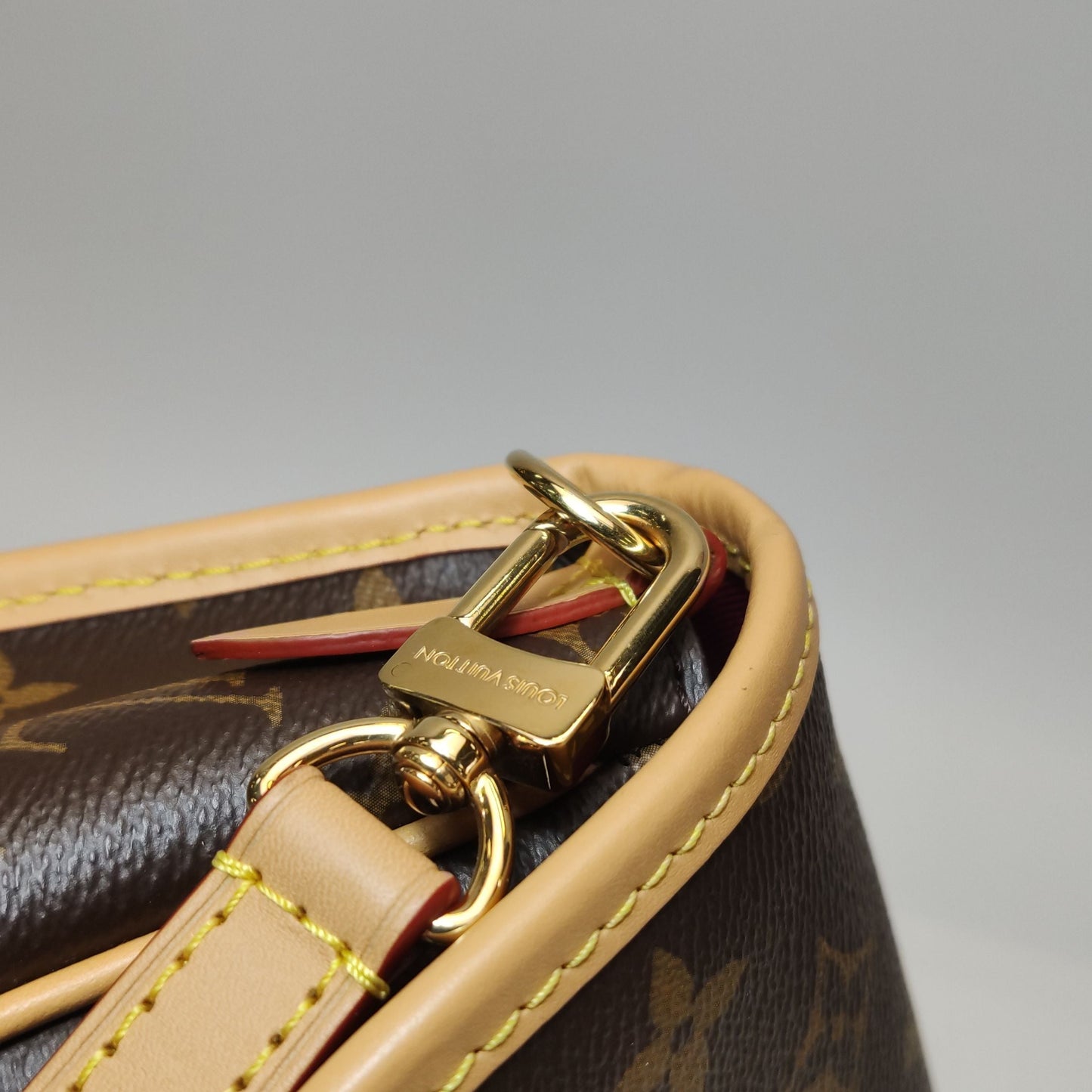 Louis Vuitton Diane Monogram Crossbody Shoulder Bag Microchip 250502781175419
