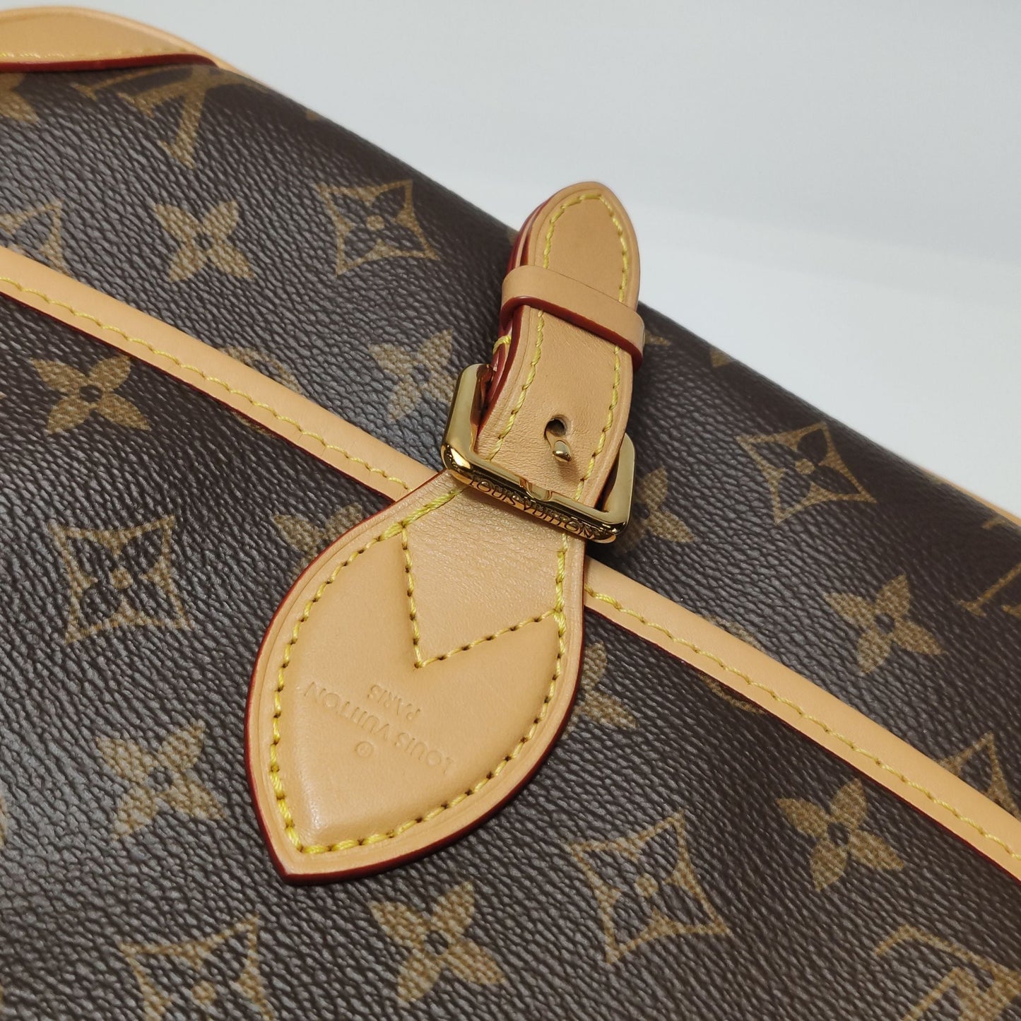Louis Vuitton Diane Monogram Crossbody Shoulder Bag Microchip 250502781175419