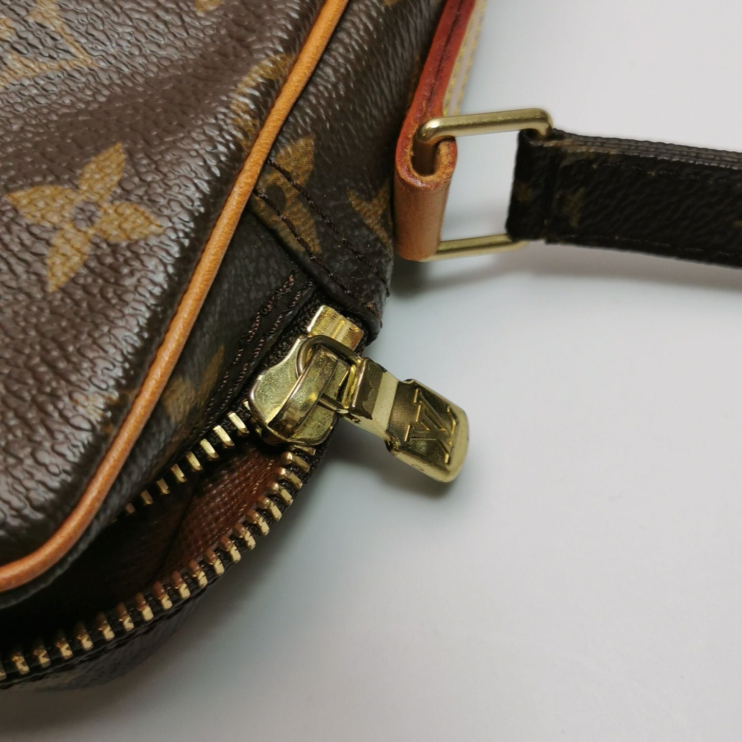 Louis Vuitton Danube Camera Bag Monogram Print Crossbody Shoulder Bag 24120378969727
