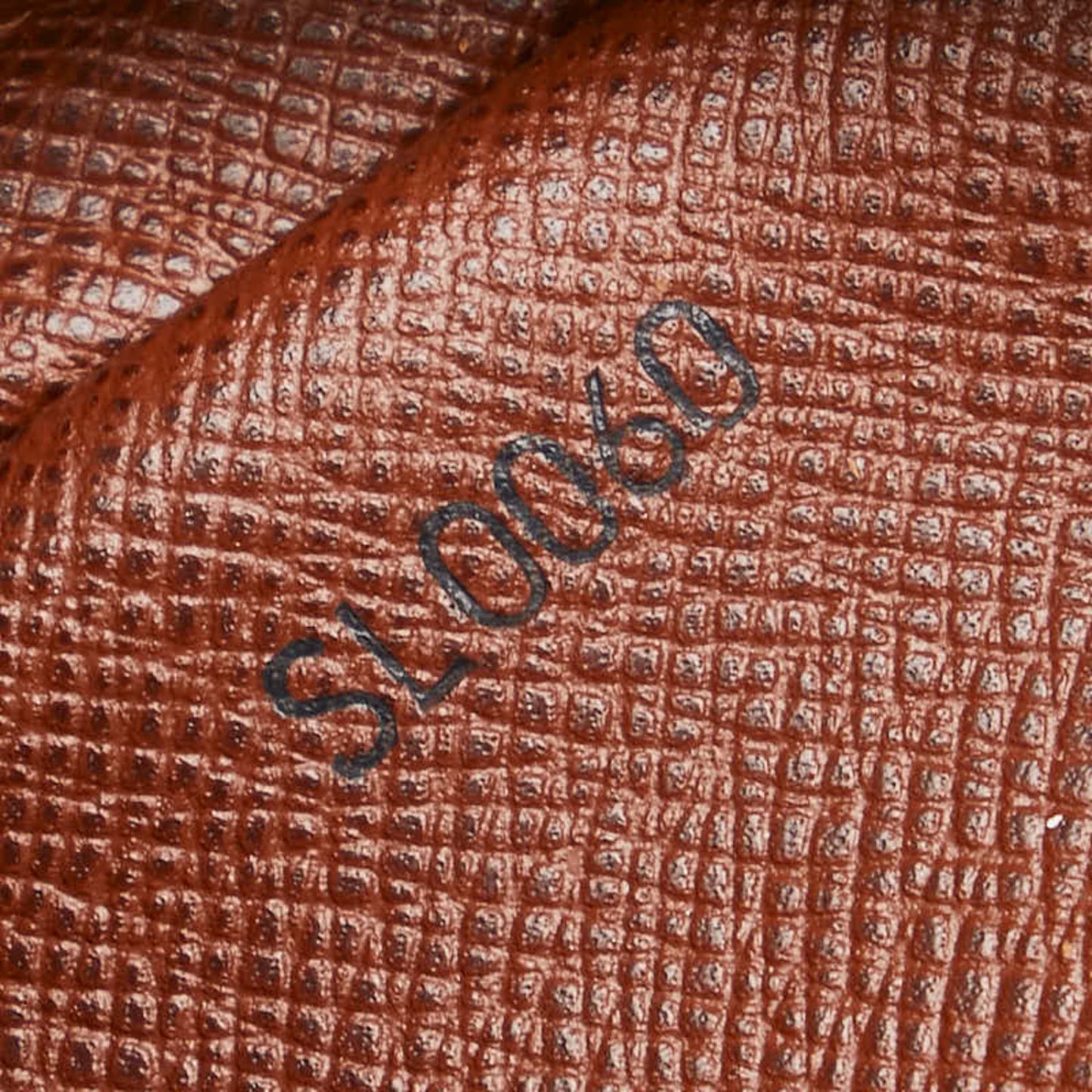 Louis Vuitton Pvc Leather Shoulder Bag