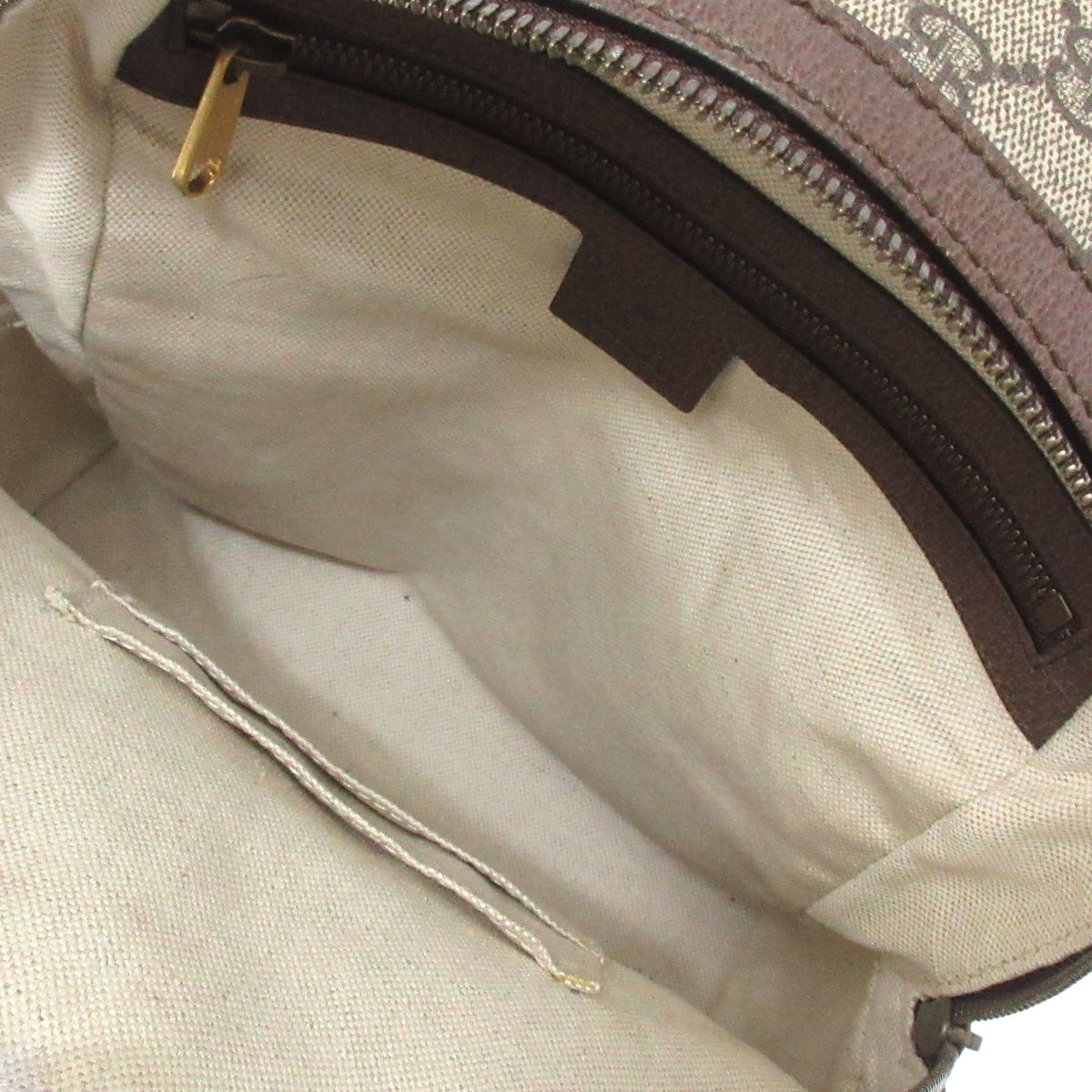 Gucci Ophidia Backpack