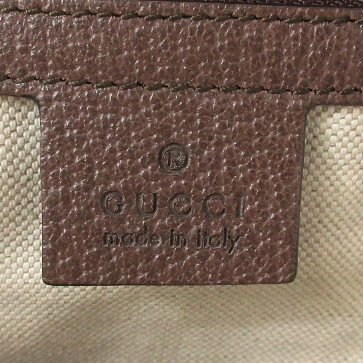 Gucci Ophidia Backpack