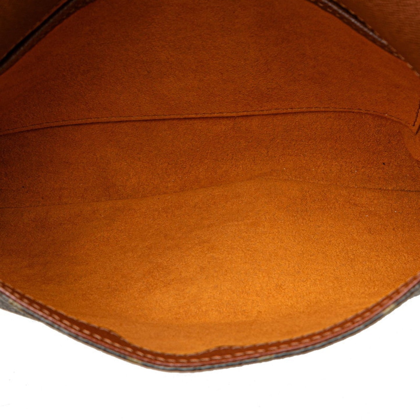 Louis Vuitton Pvc Leather Handbag Shoulder Bag