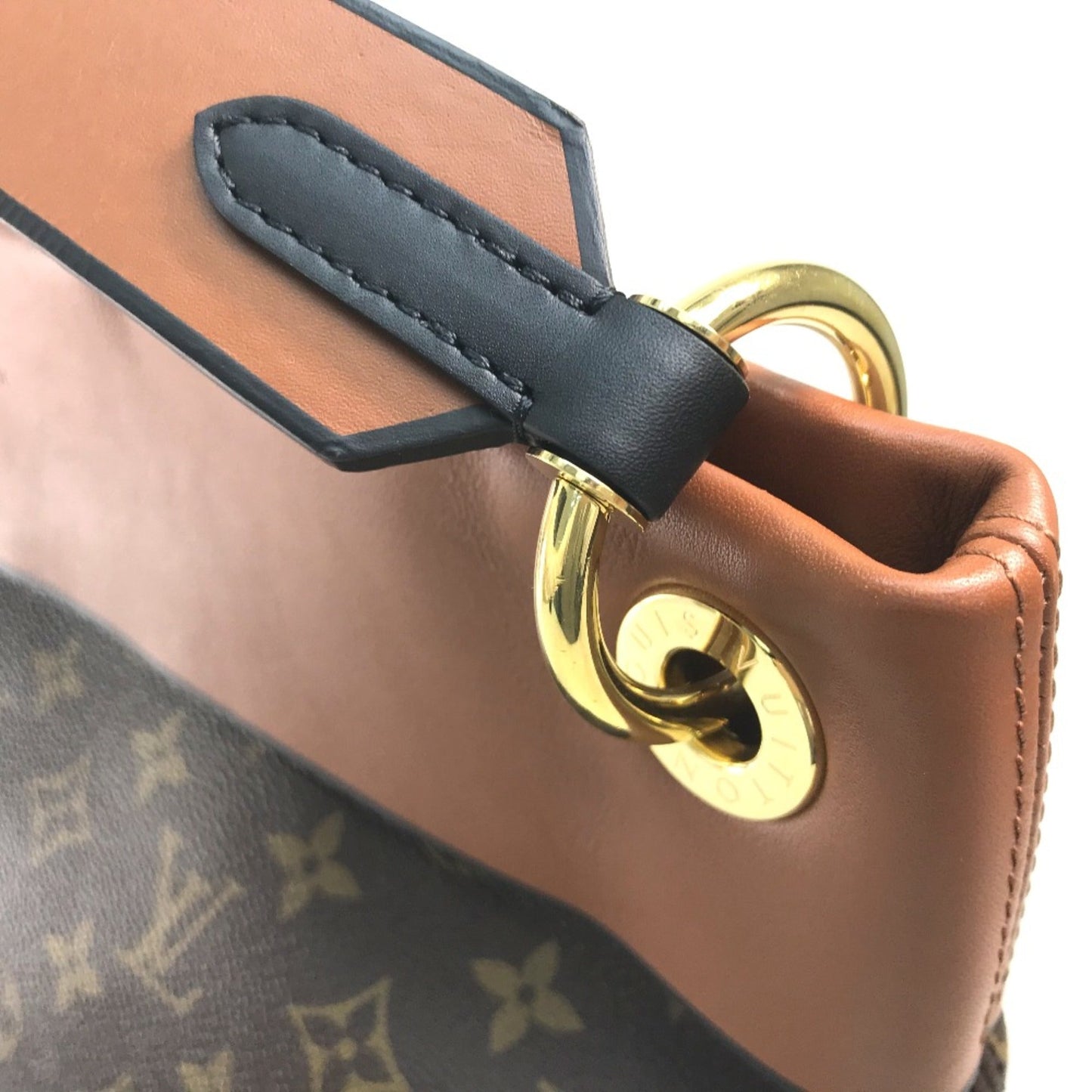 Louis Vuitton Other Shoulder Bag