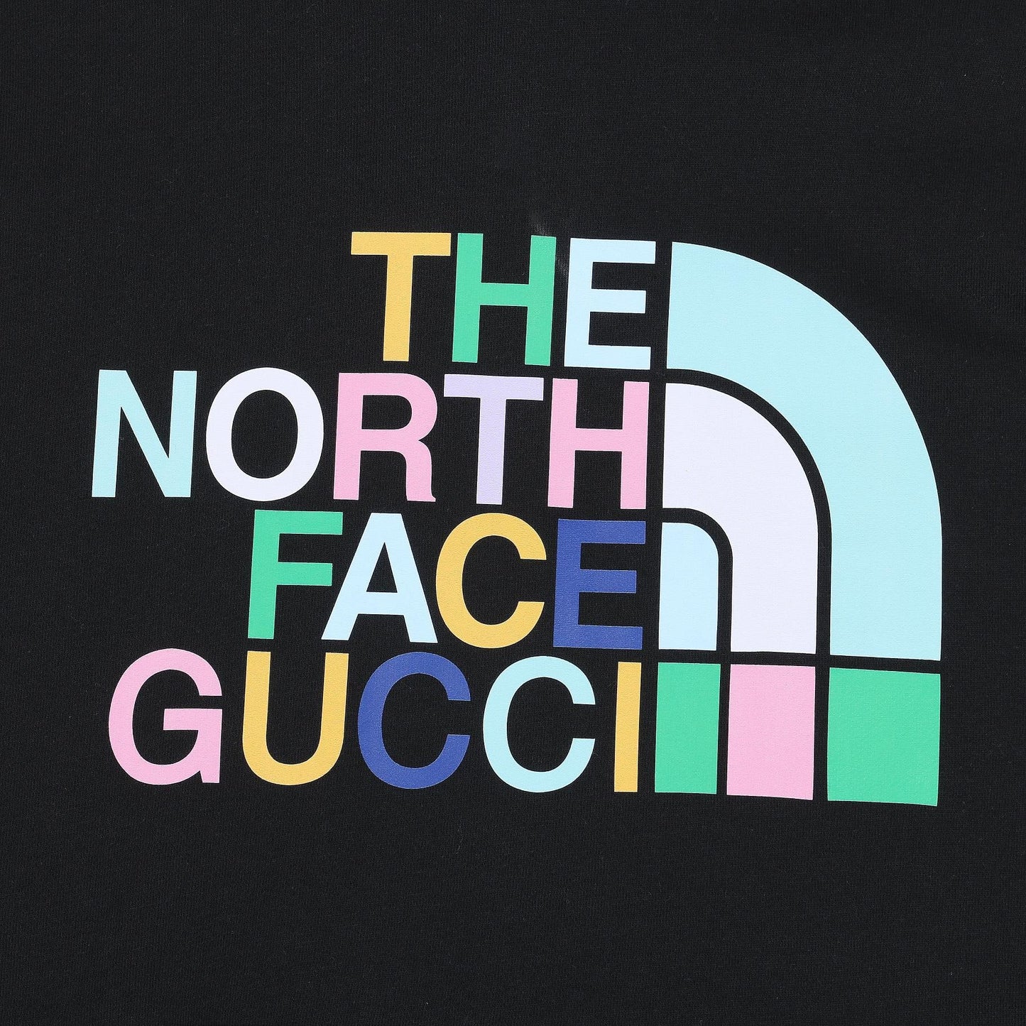 Gucci “The North Face” Hoodie sweater