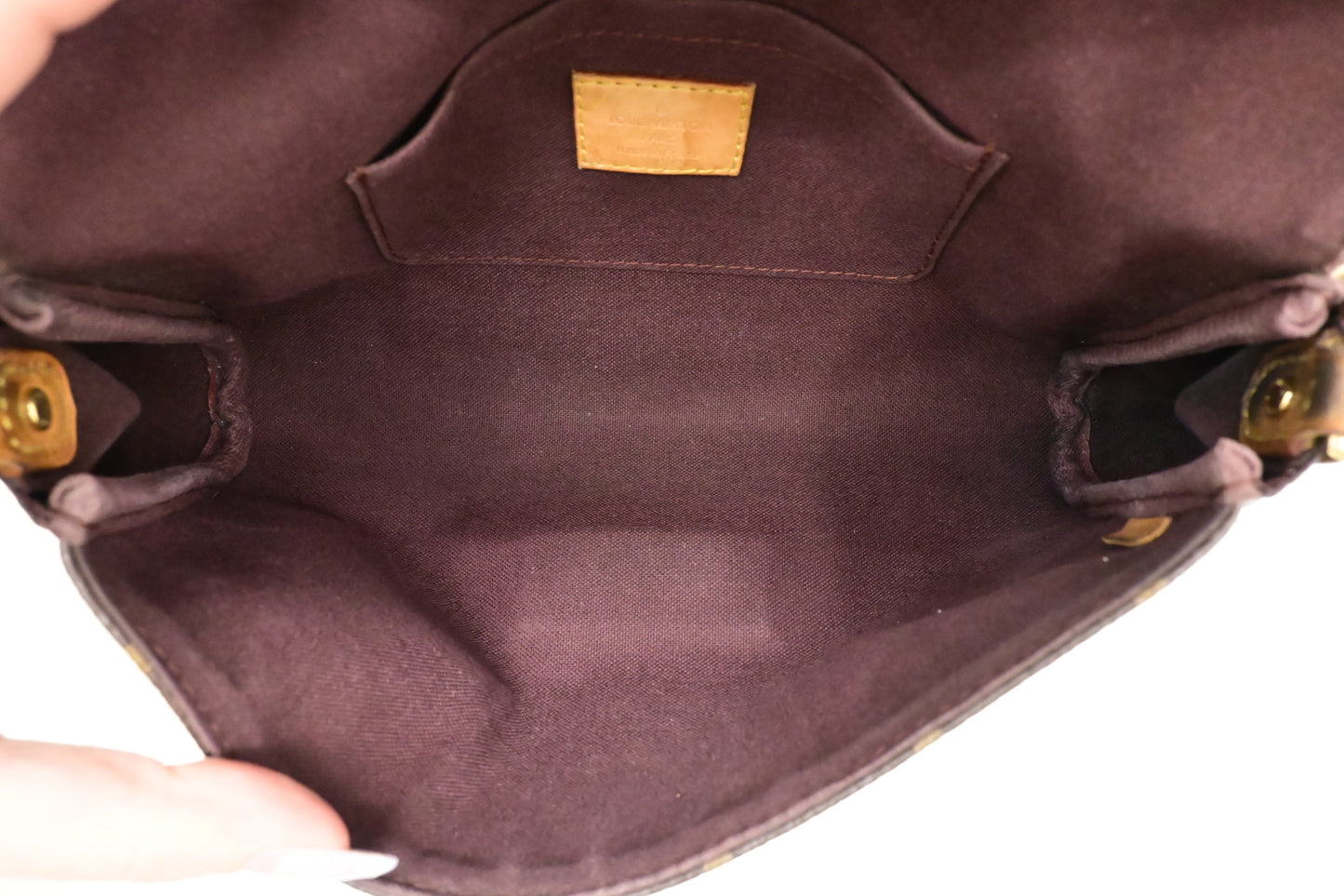 Louis Vuitton Favorite MM in Monogram Canvas