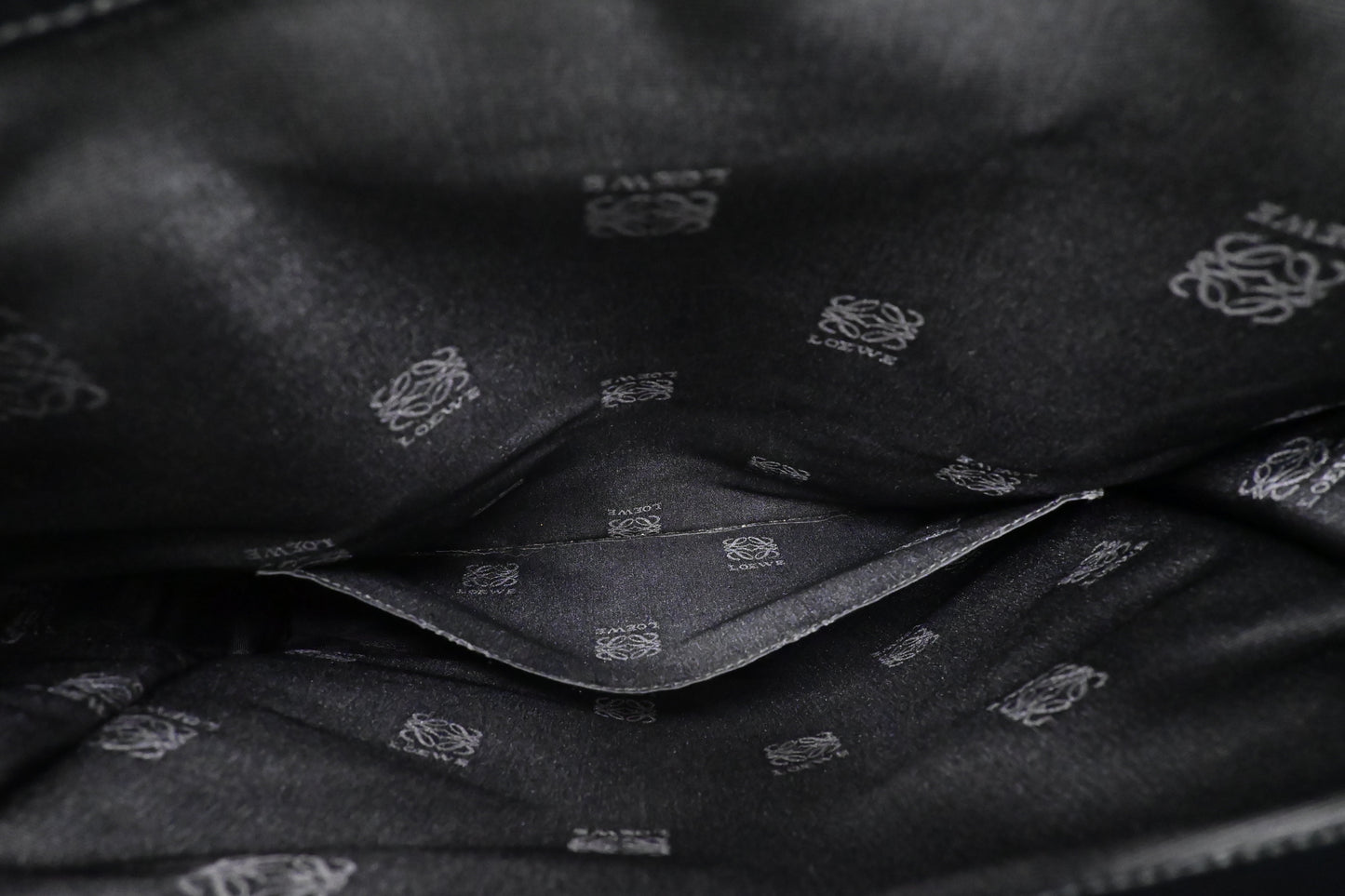 Loewe Anagram Tote in Black & Green Canvas