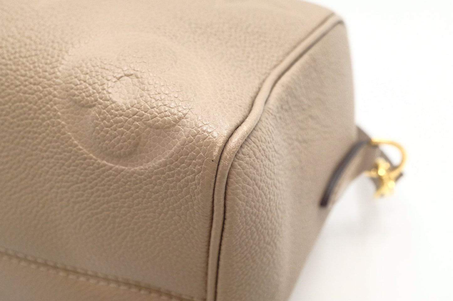 Louis Vuitton Speedy 25 Bandouliere in Turtledove Empreinte Leather