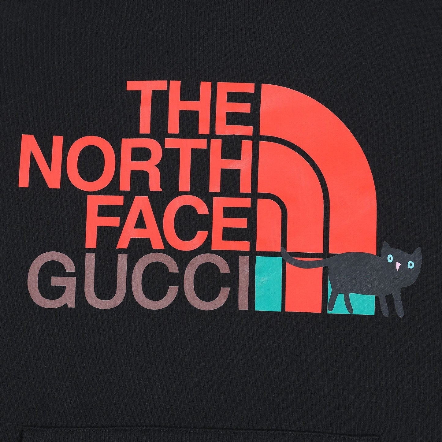 Gucci “The North Face” Hoodie sweater