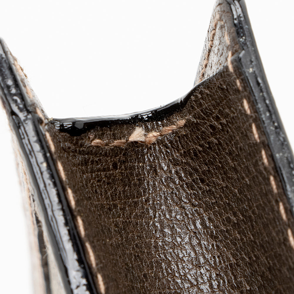 Gucci Vintage GG Plus Web Sunglasses Case