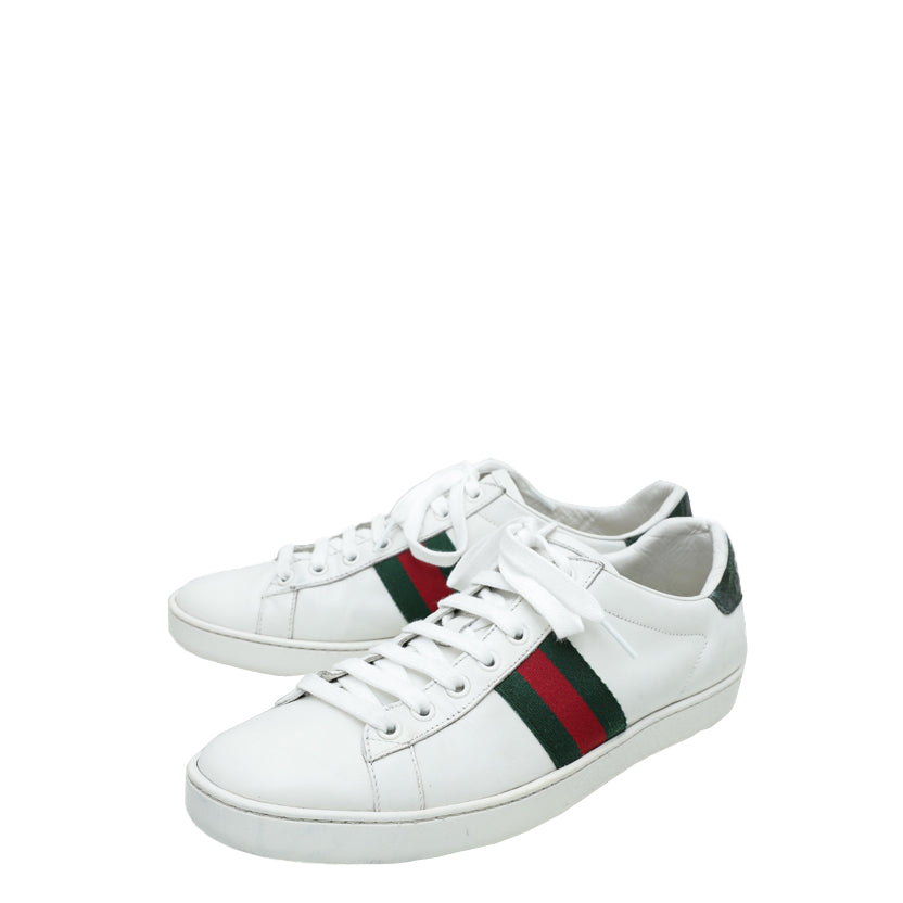 Gucci Tricolor Ace Sneakers 40