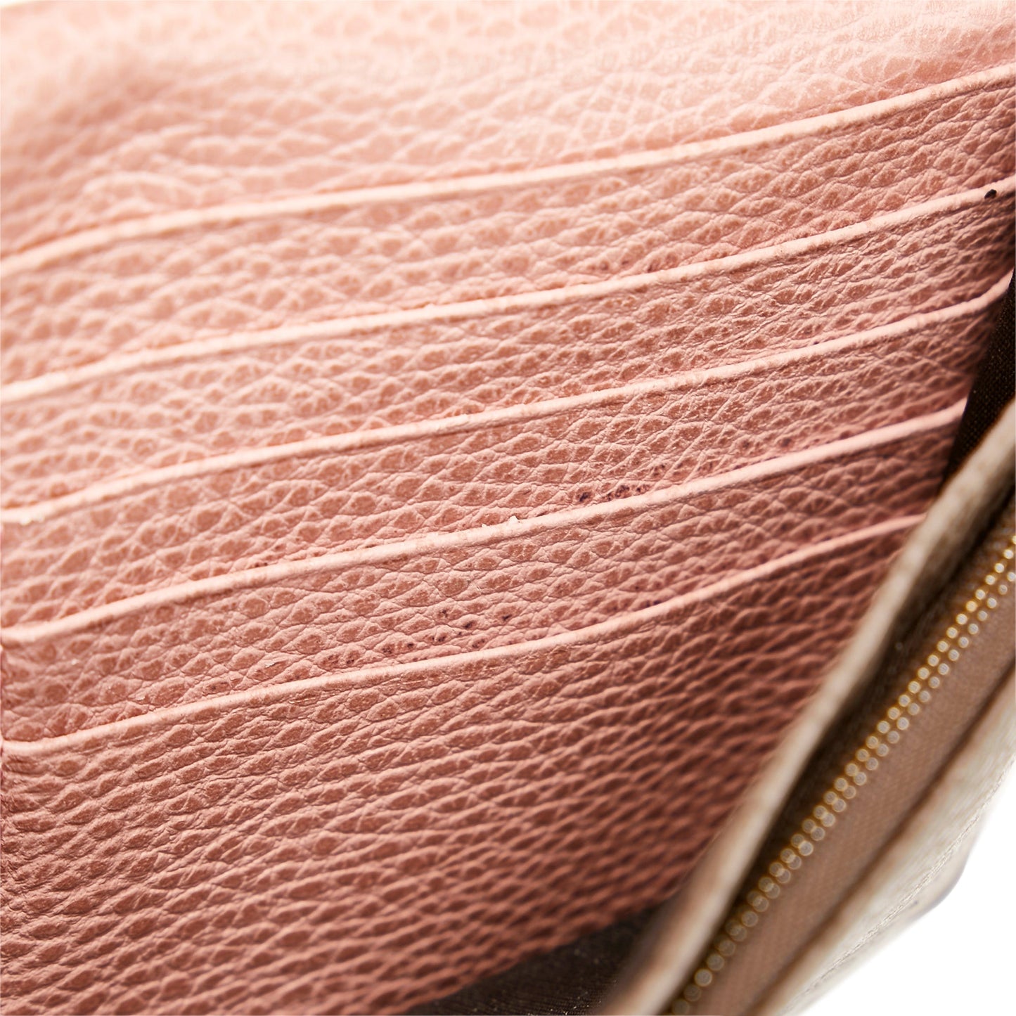 Gucci Swing Wallet On Strap Crossbody Bag