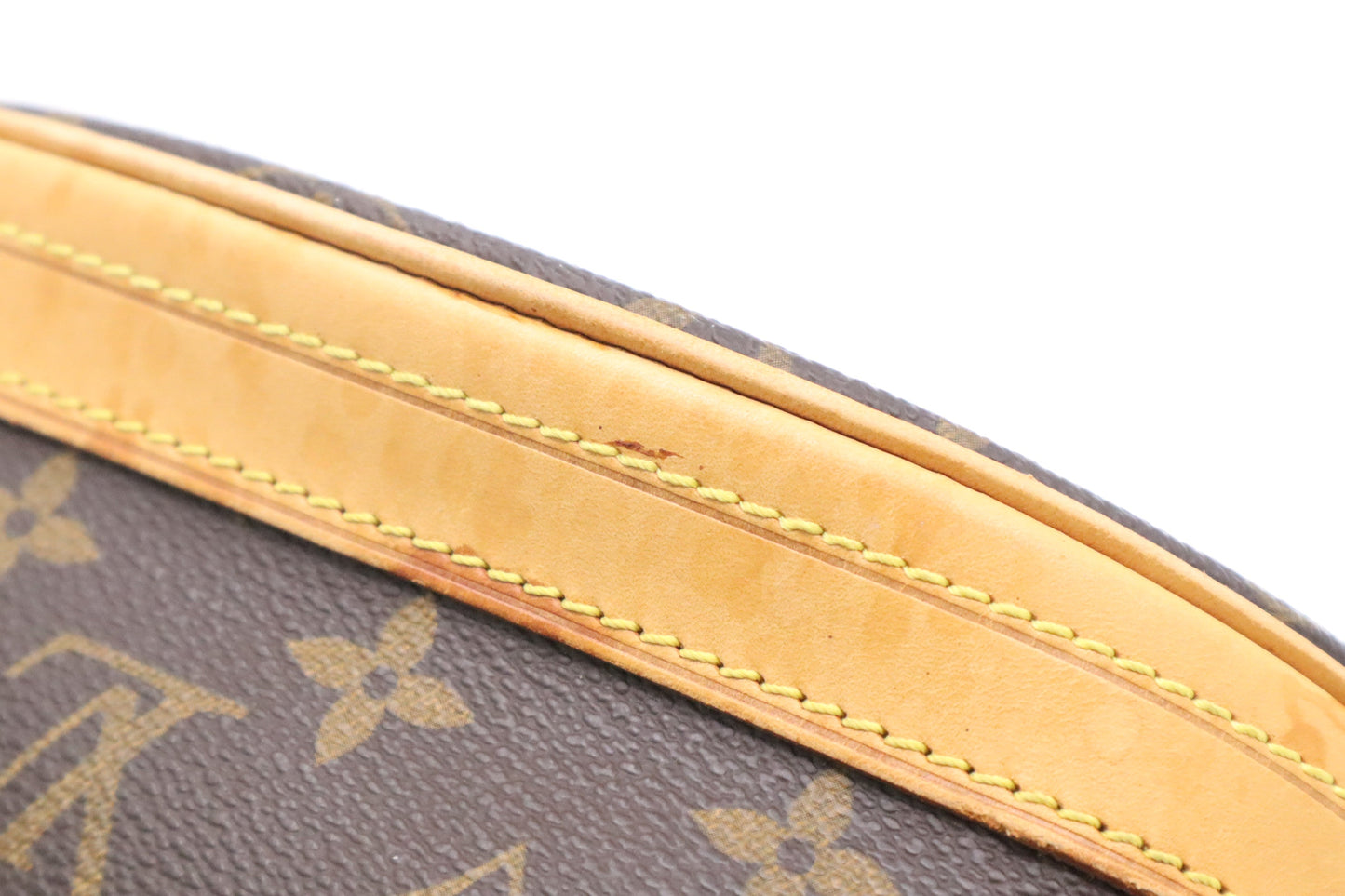 Louis Vuitton Bucket PM in Monogram Canvas