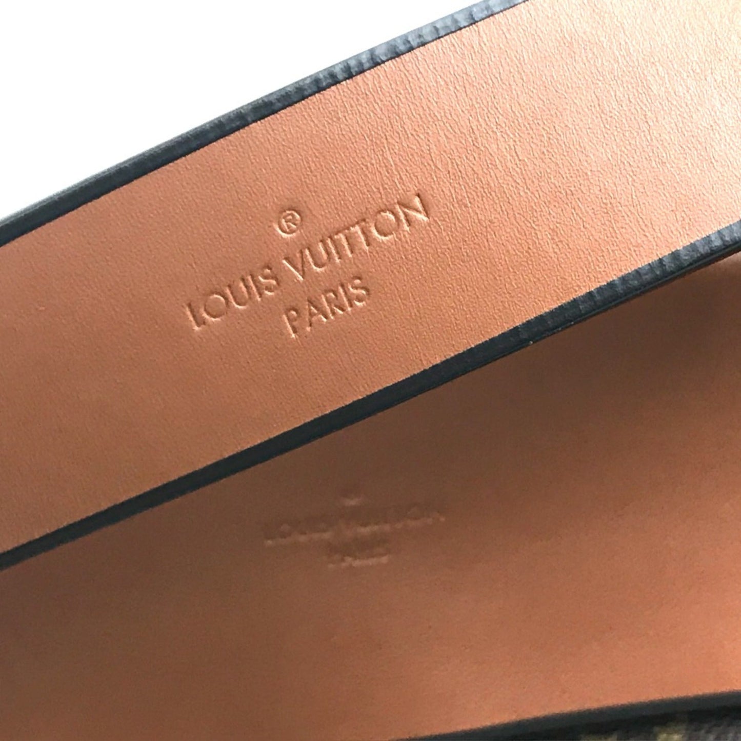 Louis Vuitton Other Shoulder Bag