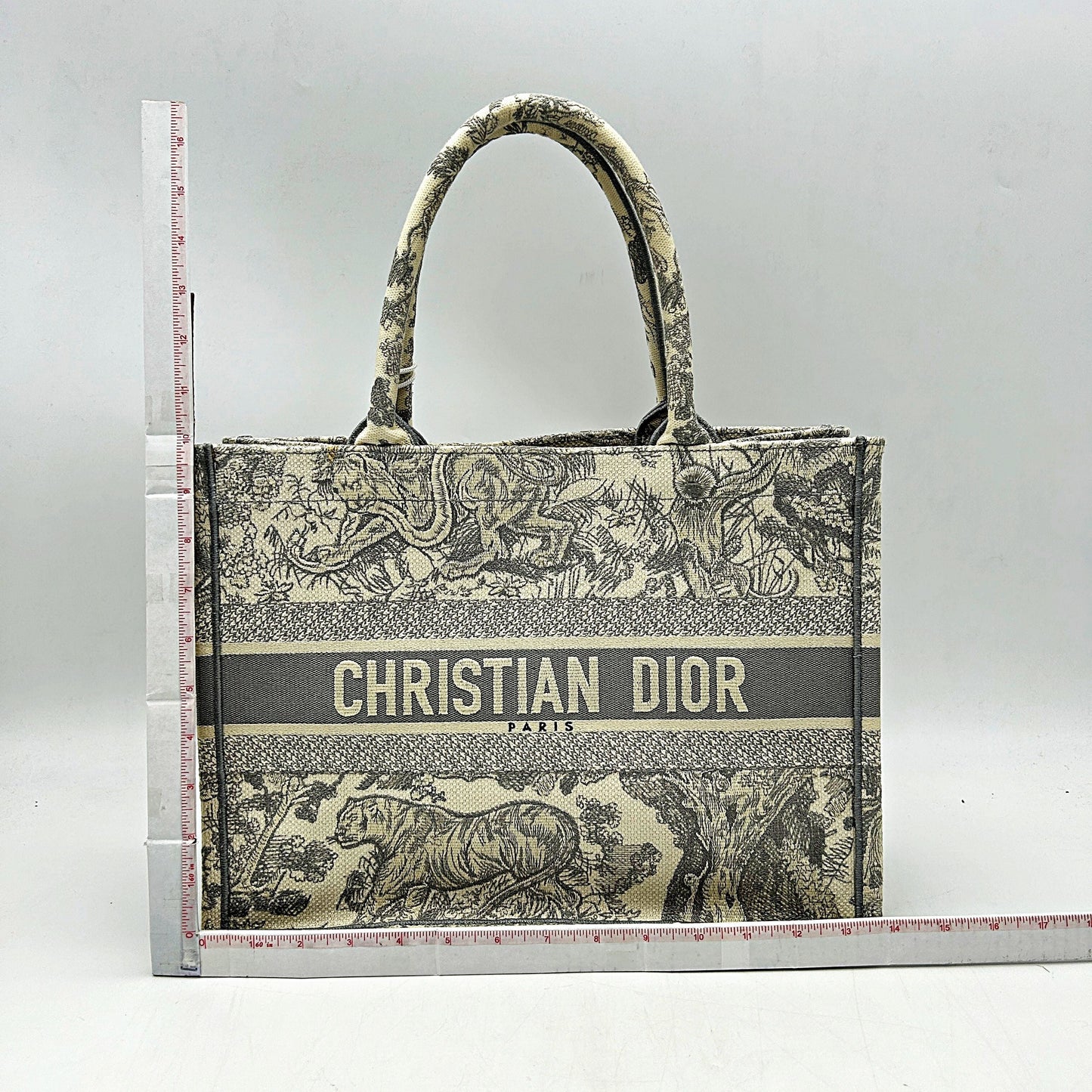 CHRISTIAN DIOR Canvas Embroidered Large Dioriviera Toile De Jouy Book Tote Gray LA46572