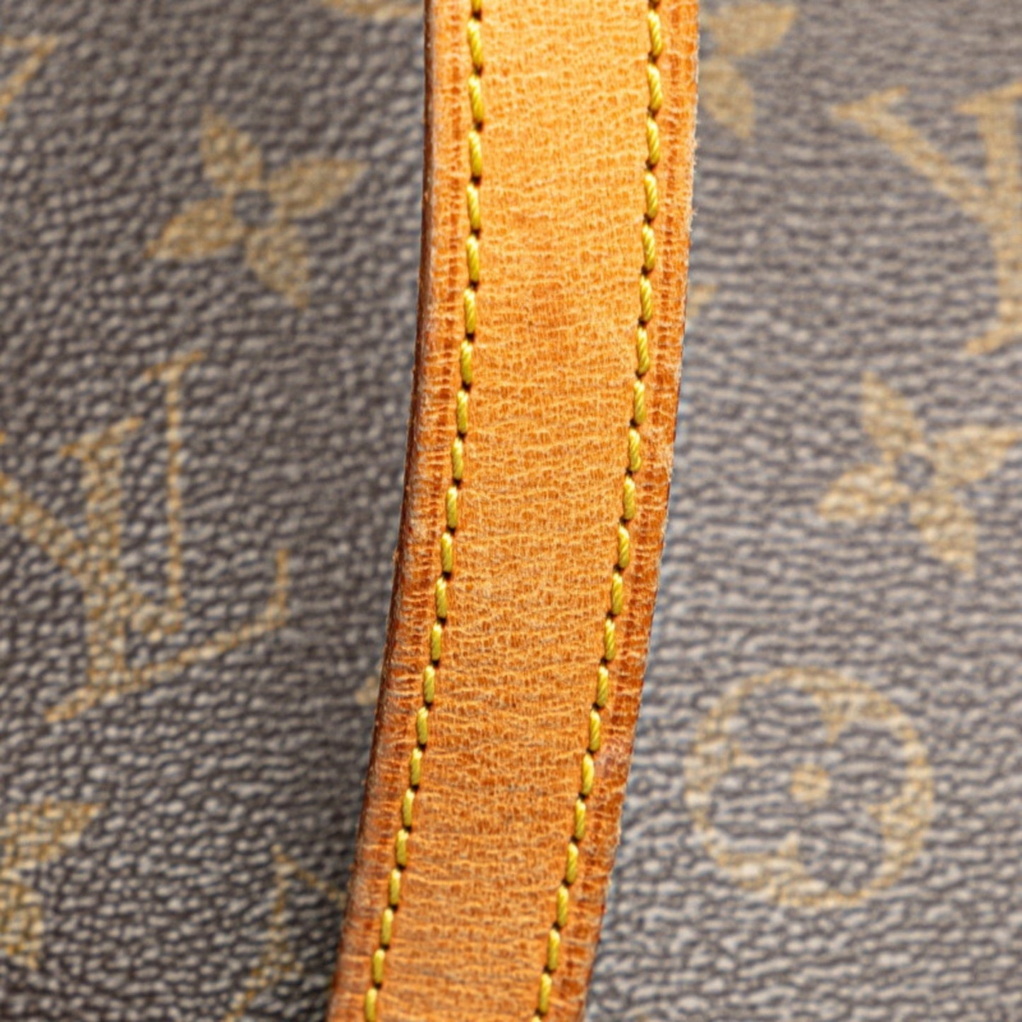 Louis Vuitton Pvc Leather Shoulder Bag