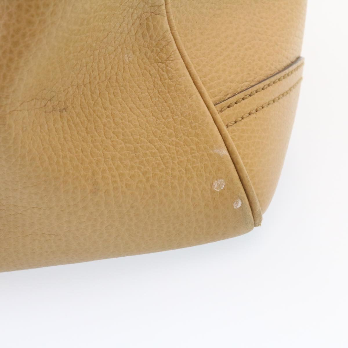 GUCCI Princy Line Tote Bag Leather Beige am1445g