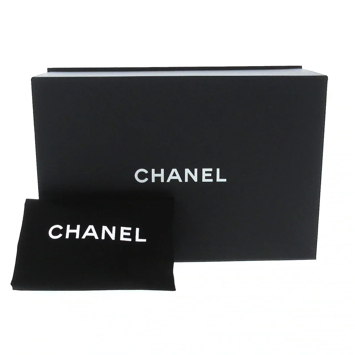 Chanel Camera Case shoulder bag