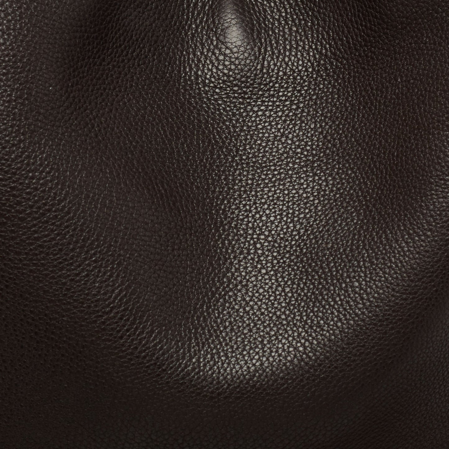 Gucci Dark Brown Leather Web Shoulder Bag