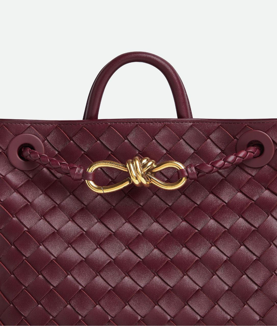 Bottega Veneta Small Andiamo