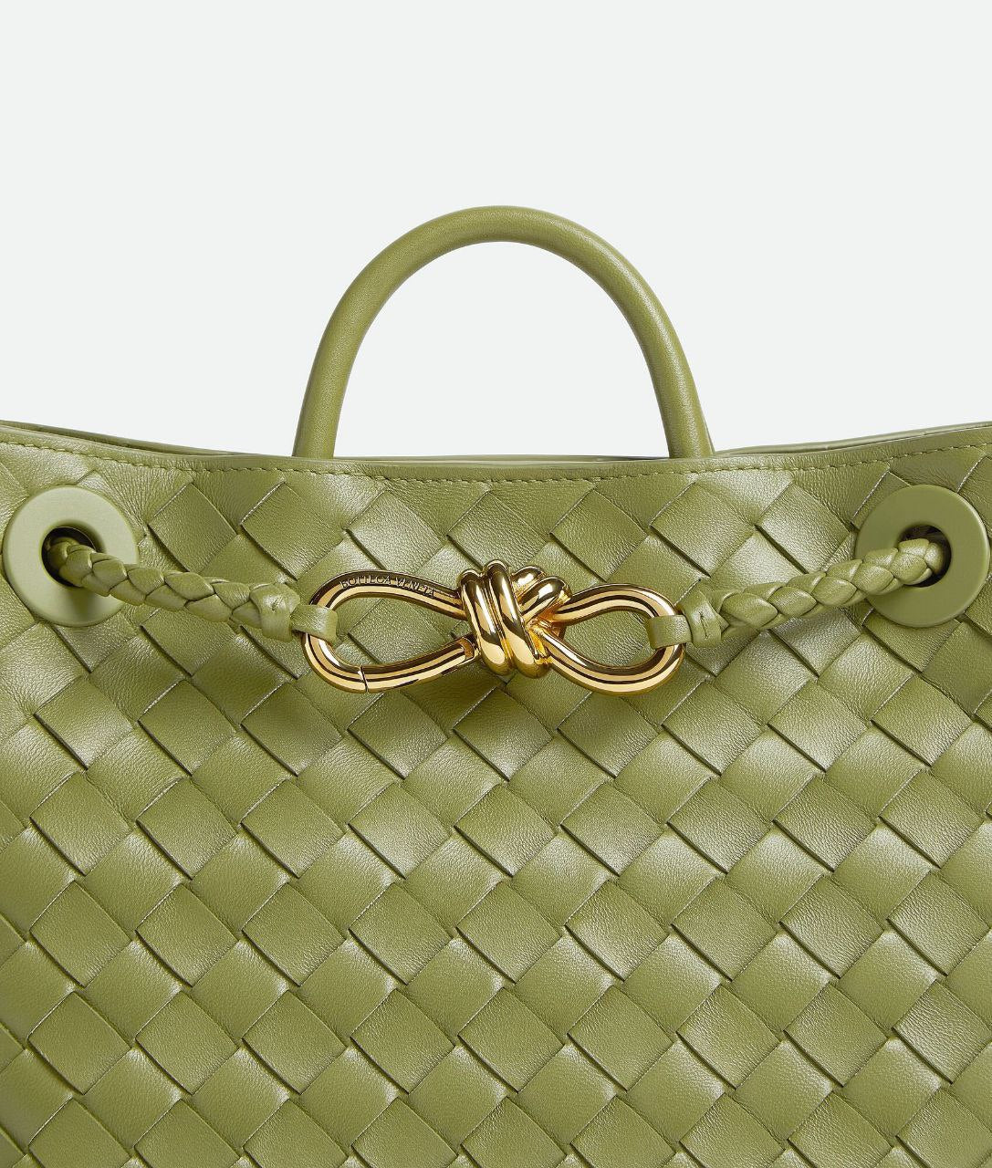 Bottega Veneta Small Andiamo Bag