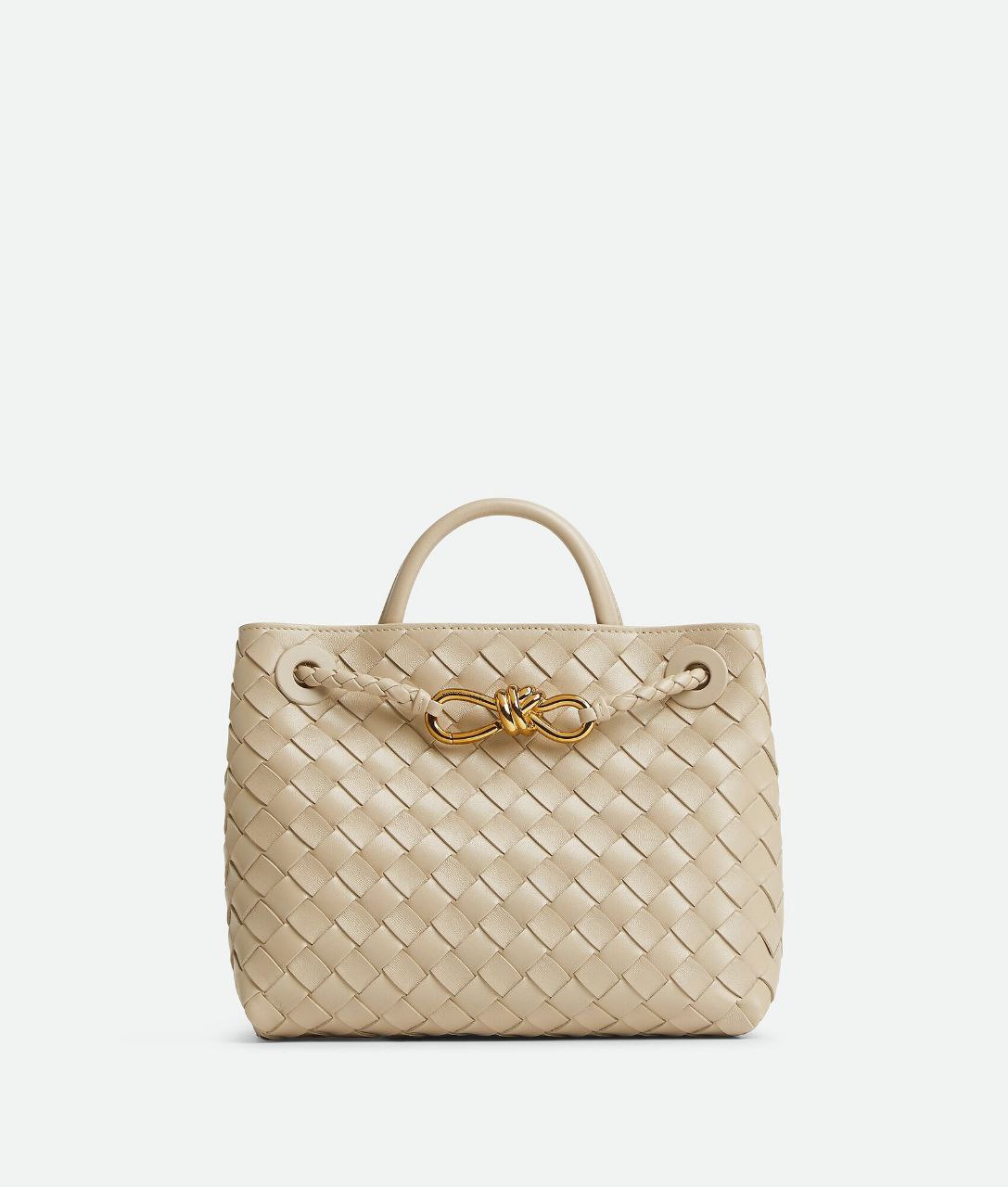 Bottega Veneta Small Andiamo Bag