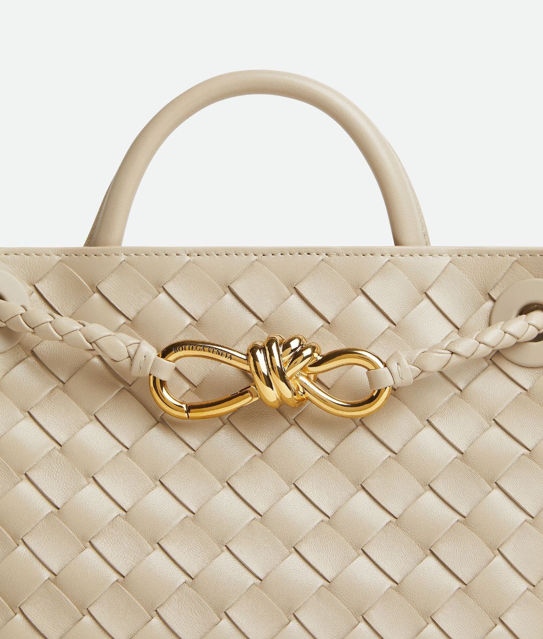 Bottega Veneta Small Andiamo Bag