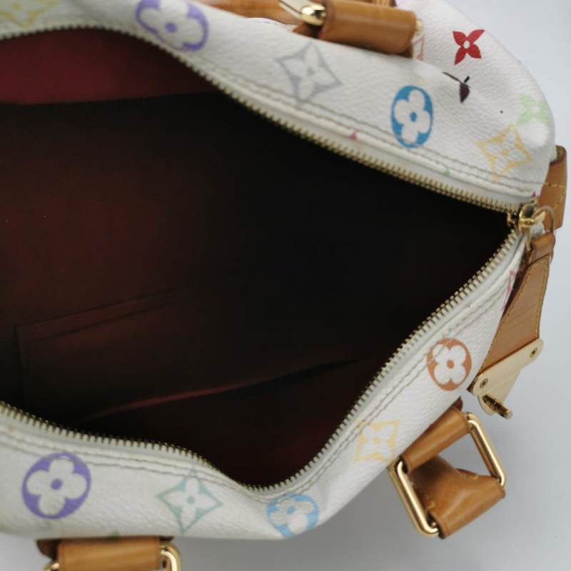 Louis Vuitton Speedy Multicolor Bag
