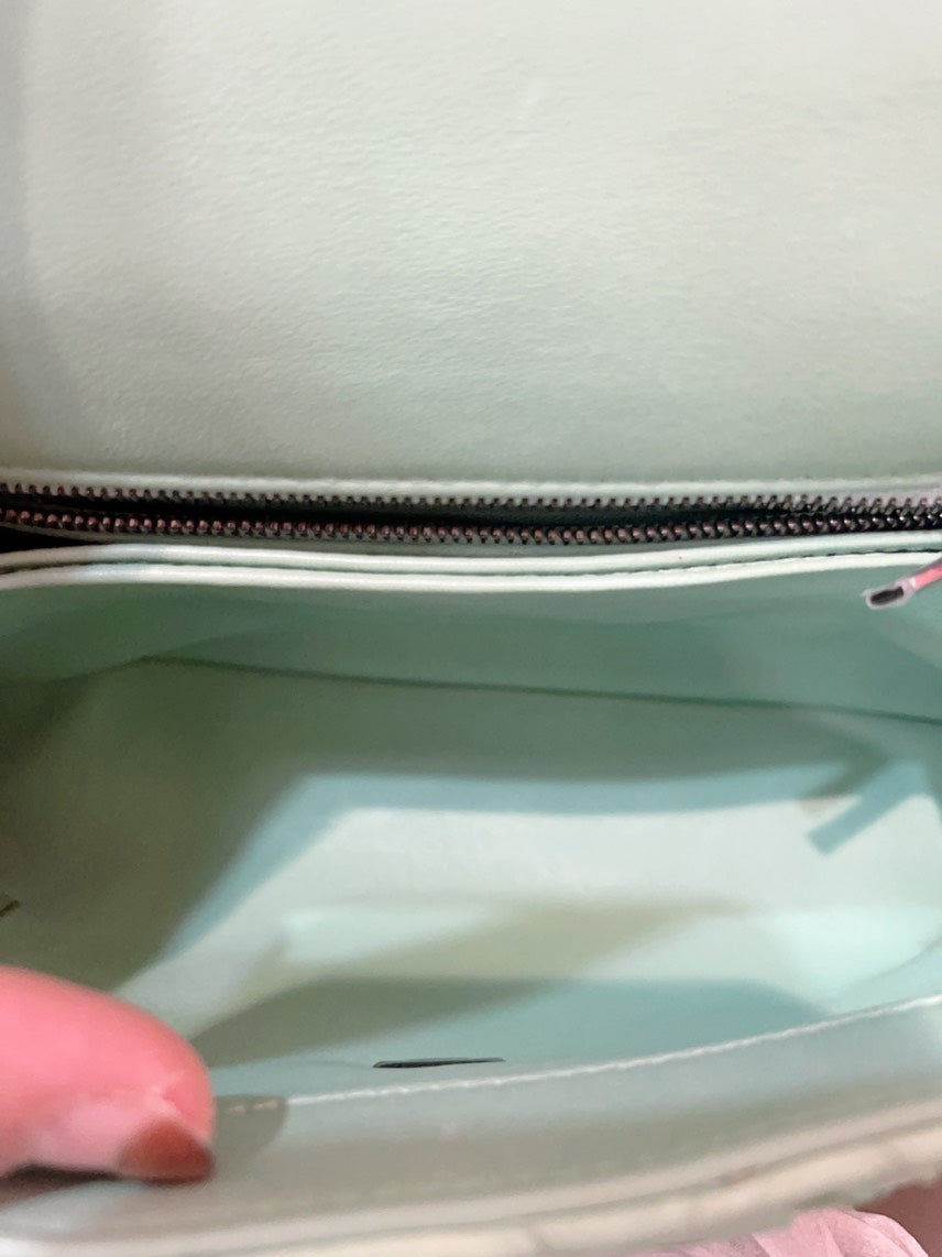 Chanel Coco Handle Small Mint Green Python Leather Bag
