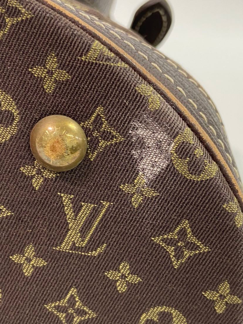 Louis Vuitton Bucket PM Monogram Canvas Brown Bucket Bag