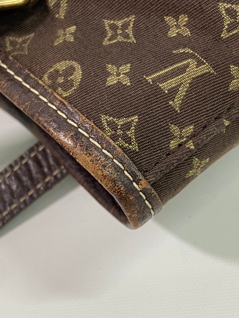 Louis Vuitton Bucket PM Monogram Canvas Brown Bucket Bag