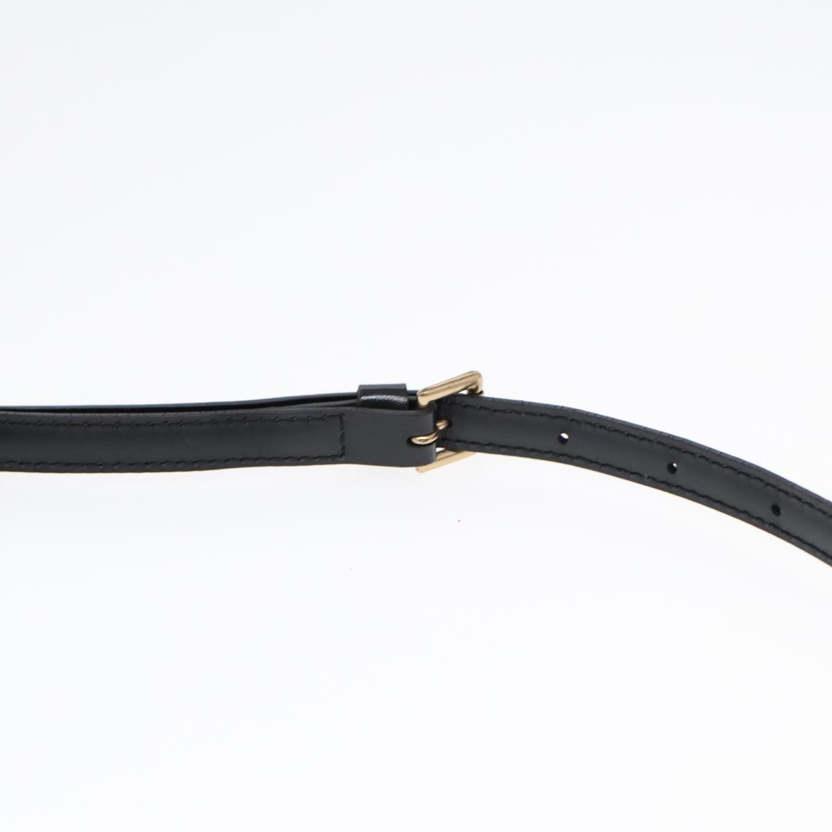 LOUIS VUITTON Epi Danube Shoulder Bag Black M45632 LV Auth yk13469