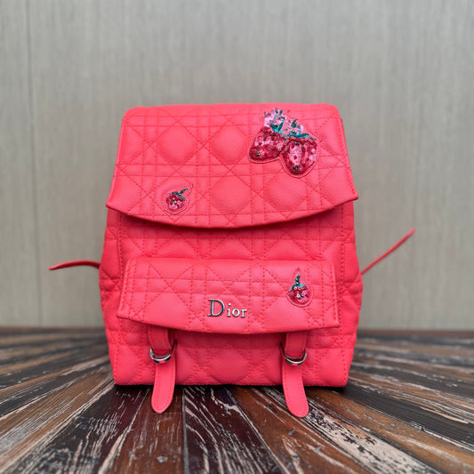 Diortravel leather backpack Dior Red in Leather 3293