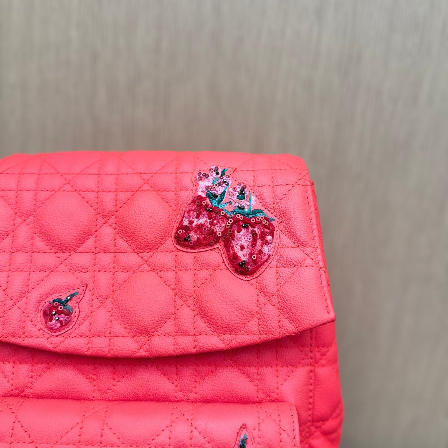 Diortravel leather backpack Dior Red in Leather 3293